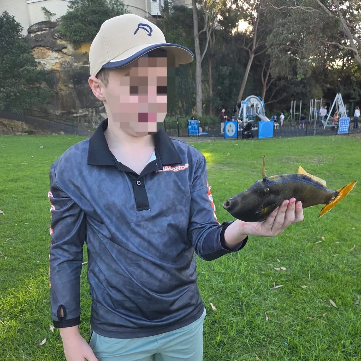 The most recent Yellowfin leatherjacket catches on Fishbrain