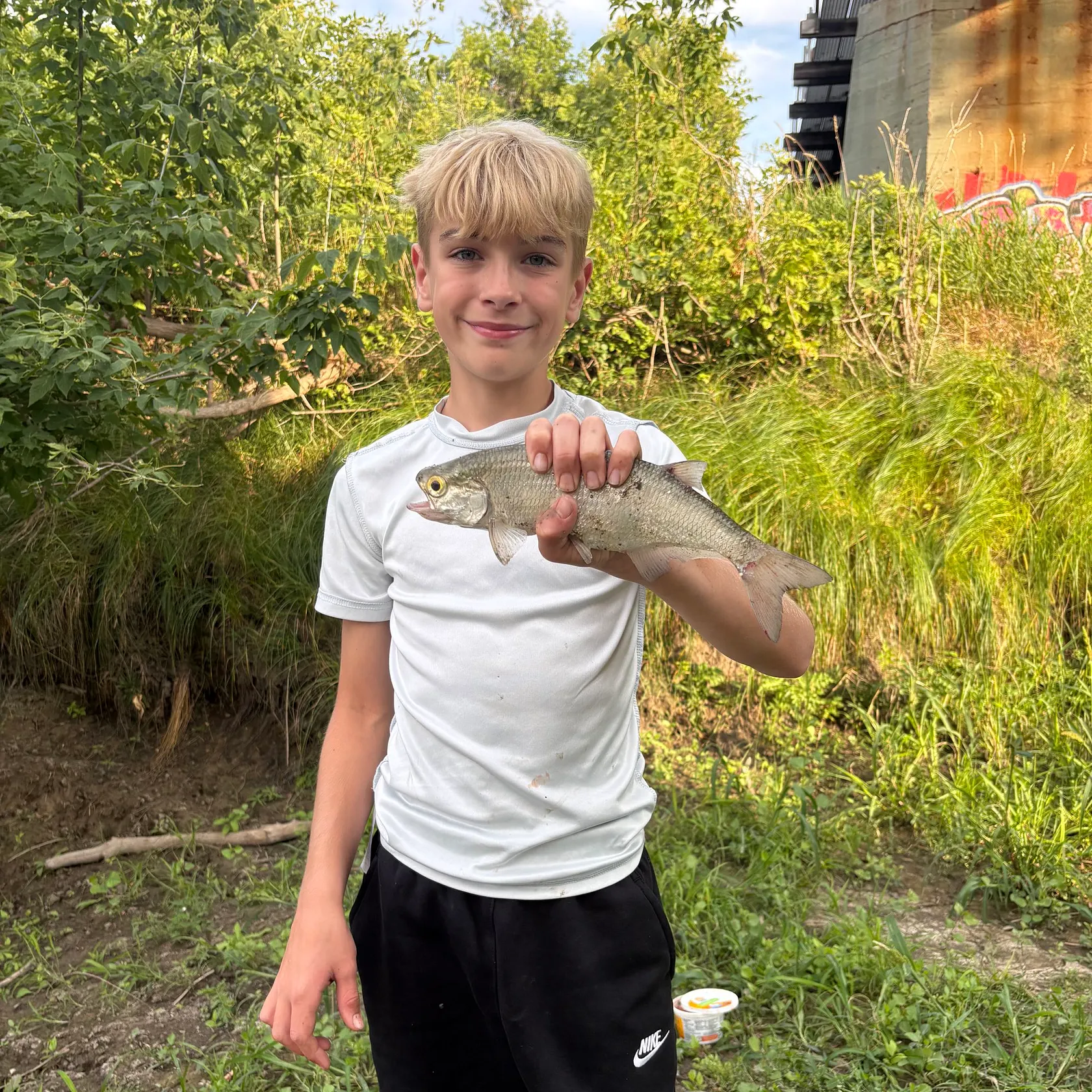 The most recent Goldeye catches on Fishbrain