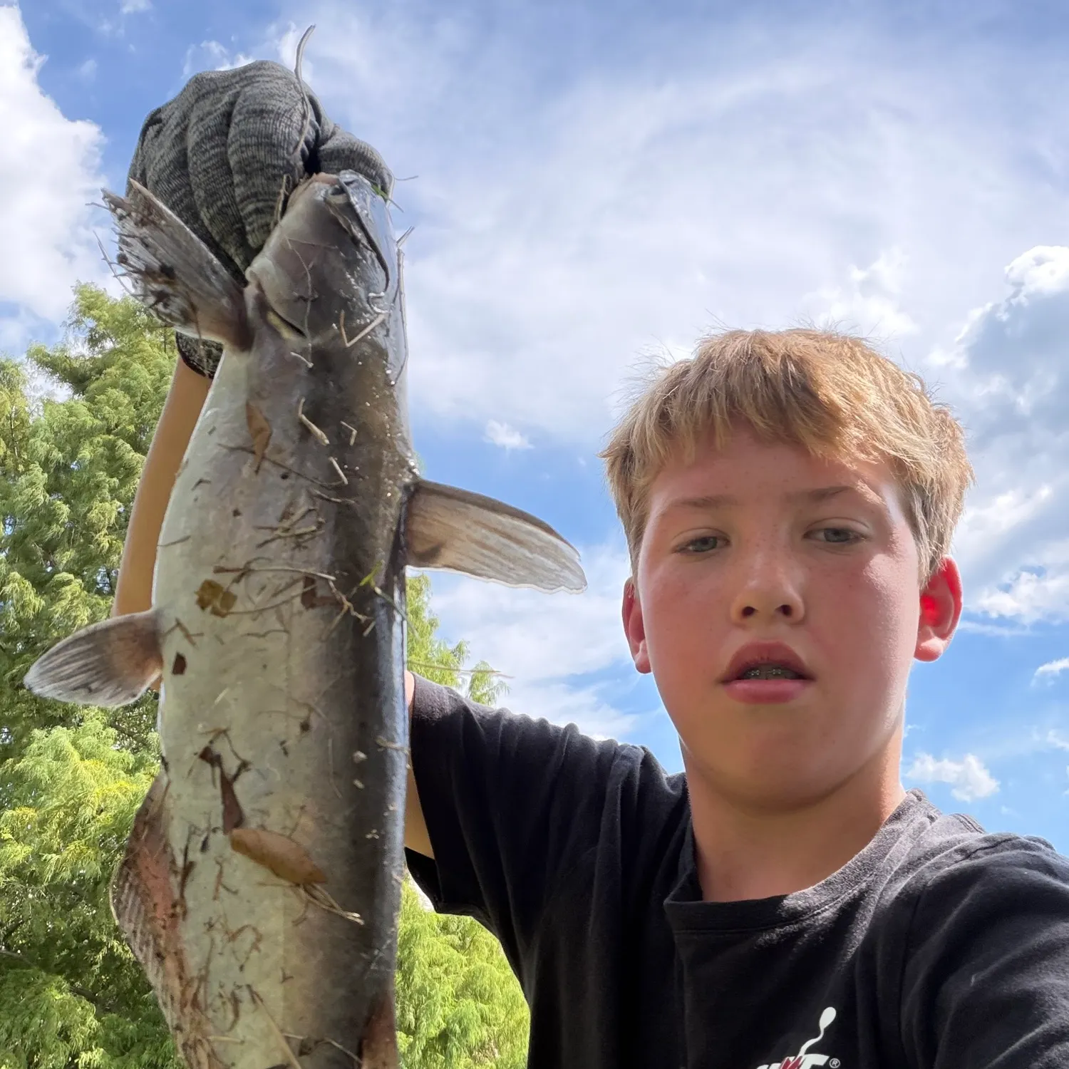Channel catfish caught on Fishbrain
