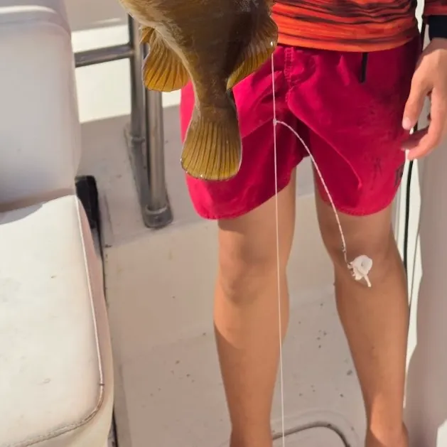 The most recent Rock hind catches on Fishbrain