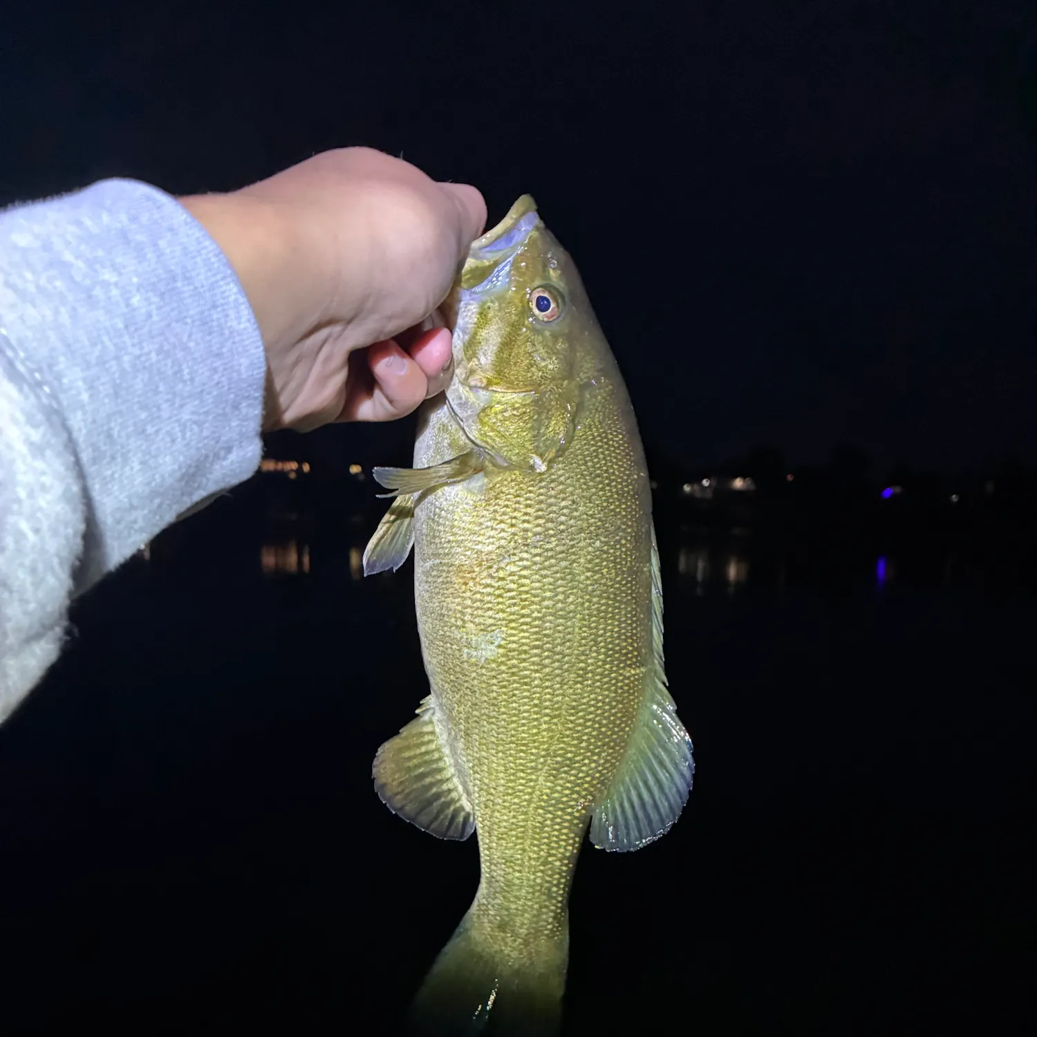 Smallmouth bass caught on Fishbrain