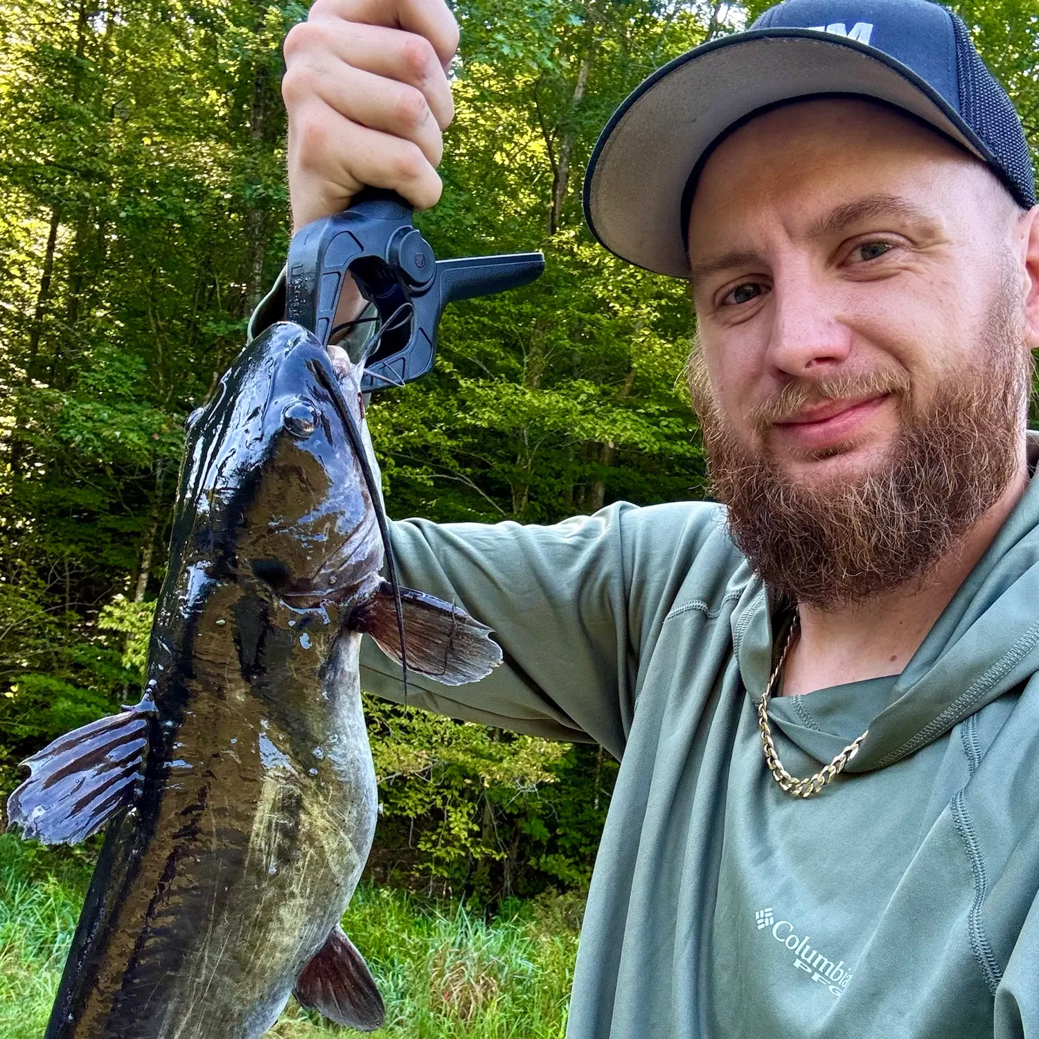Channel catfish caught on Fishbrain