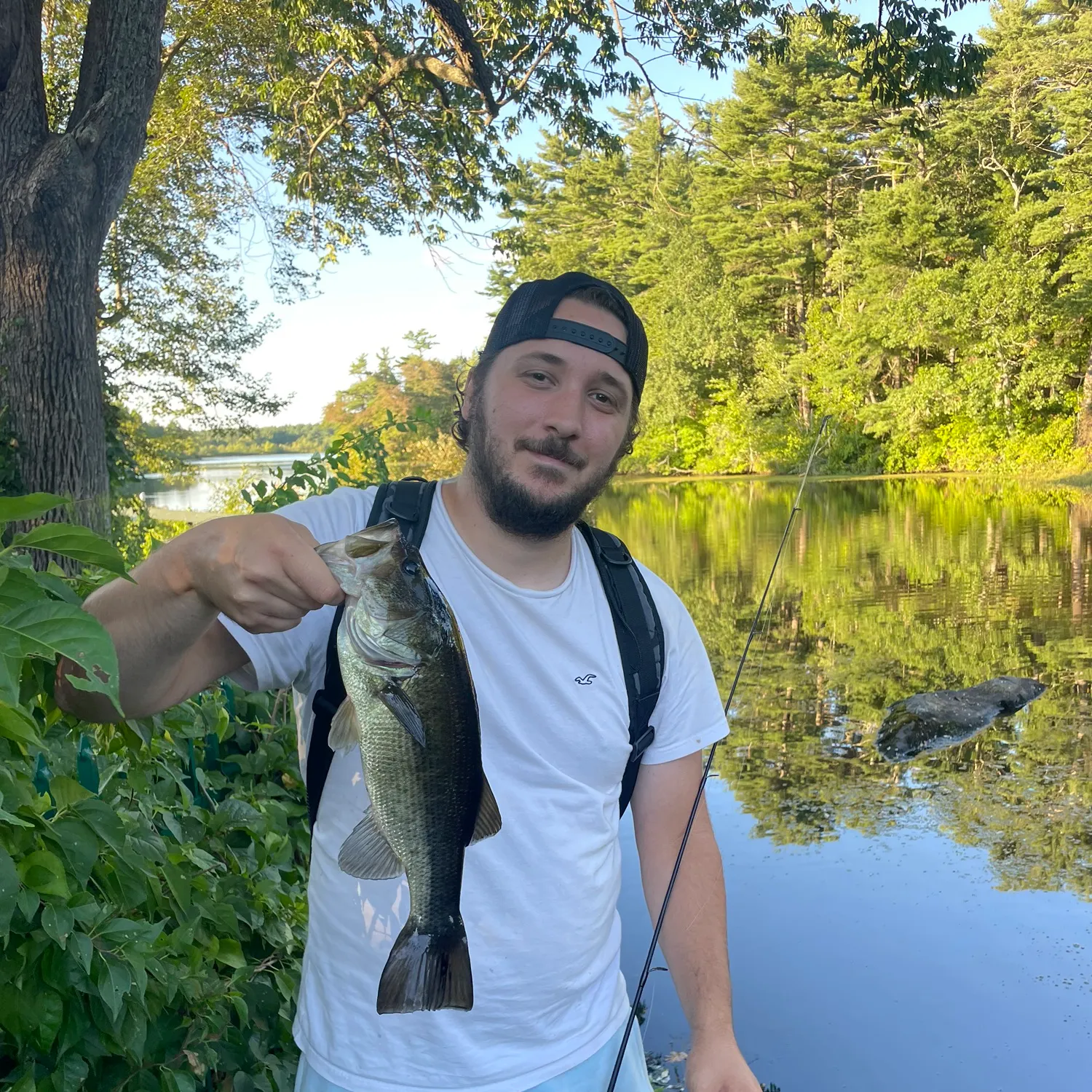 Largemouth bass caught on Fishbrain