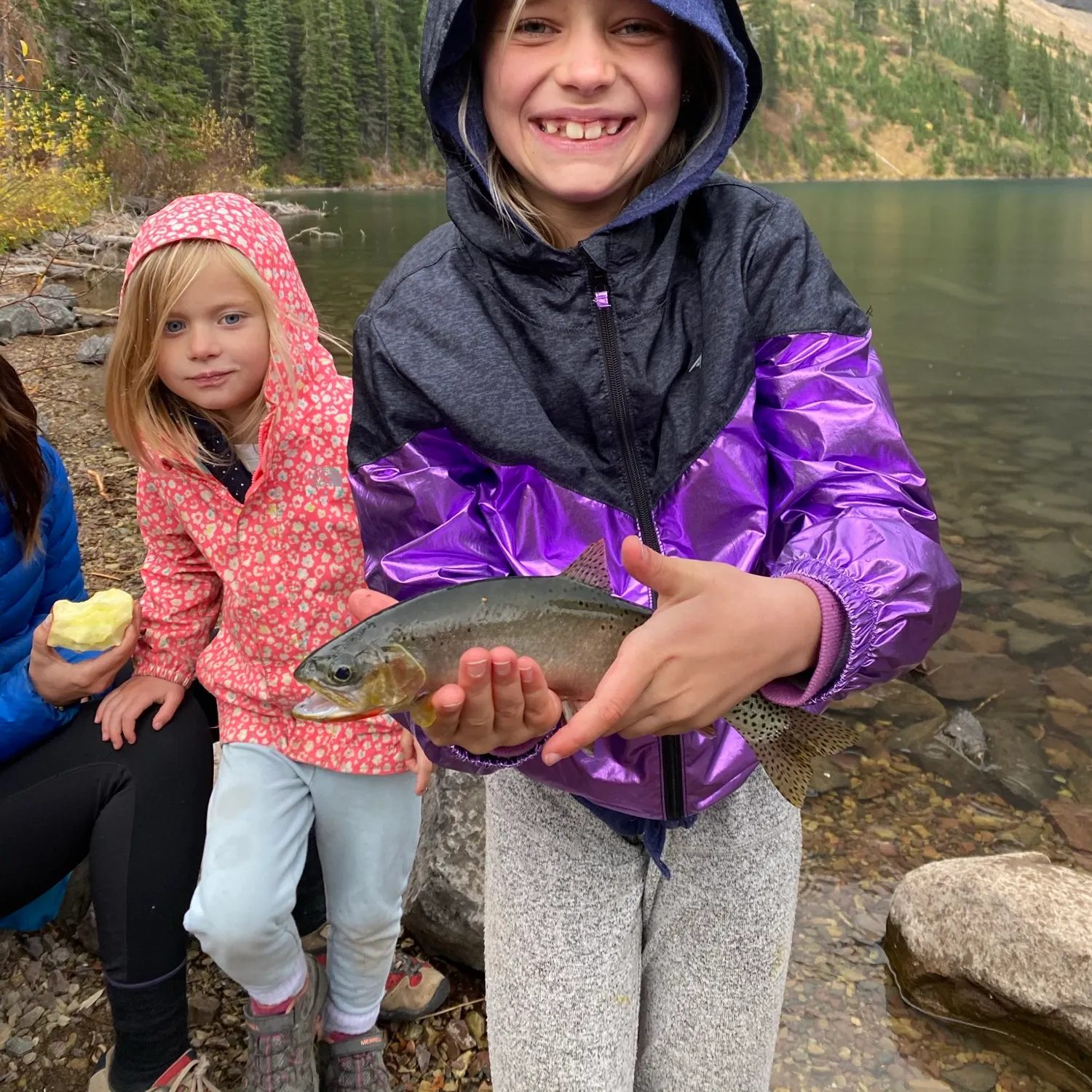 Rainbow trout caught on Fishbrain