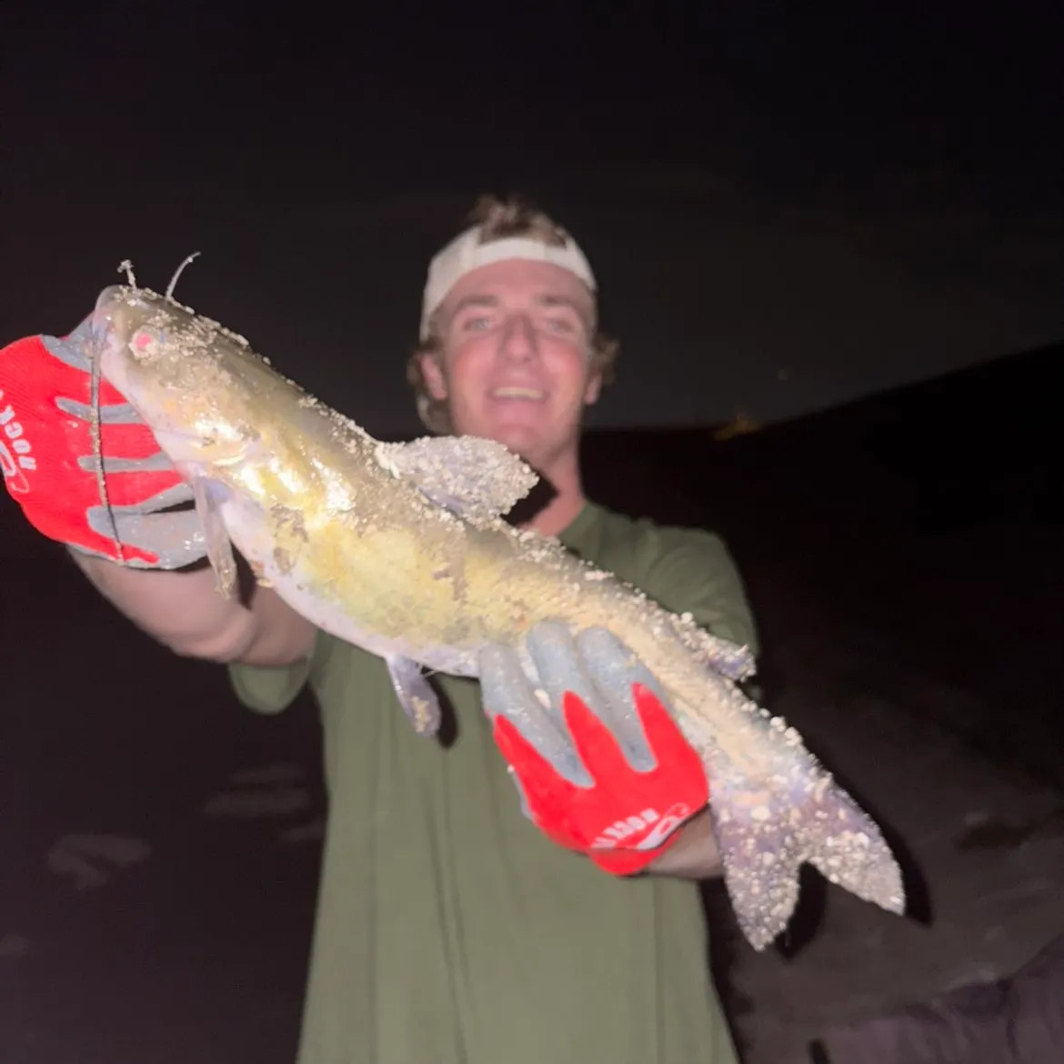 Fish caught on Fishbrain