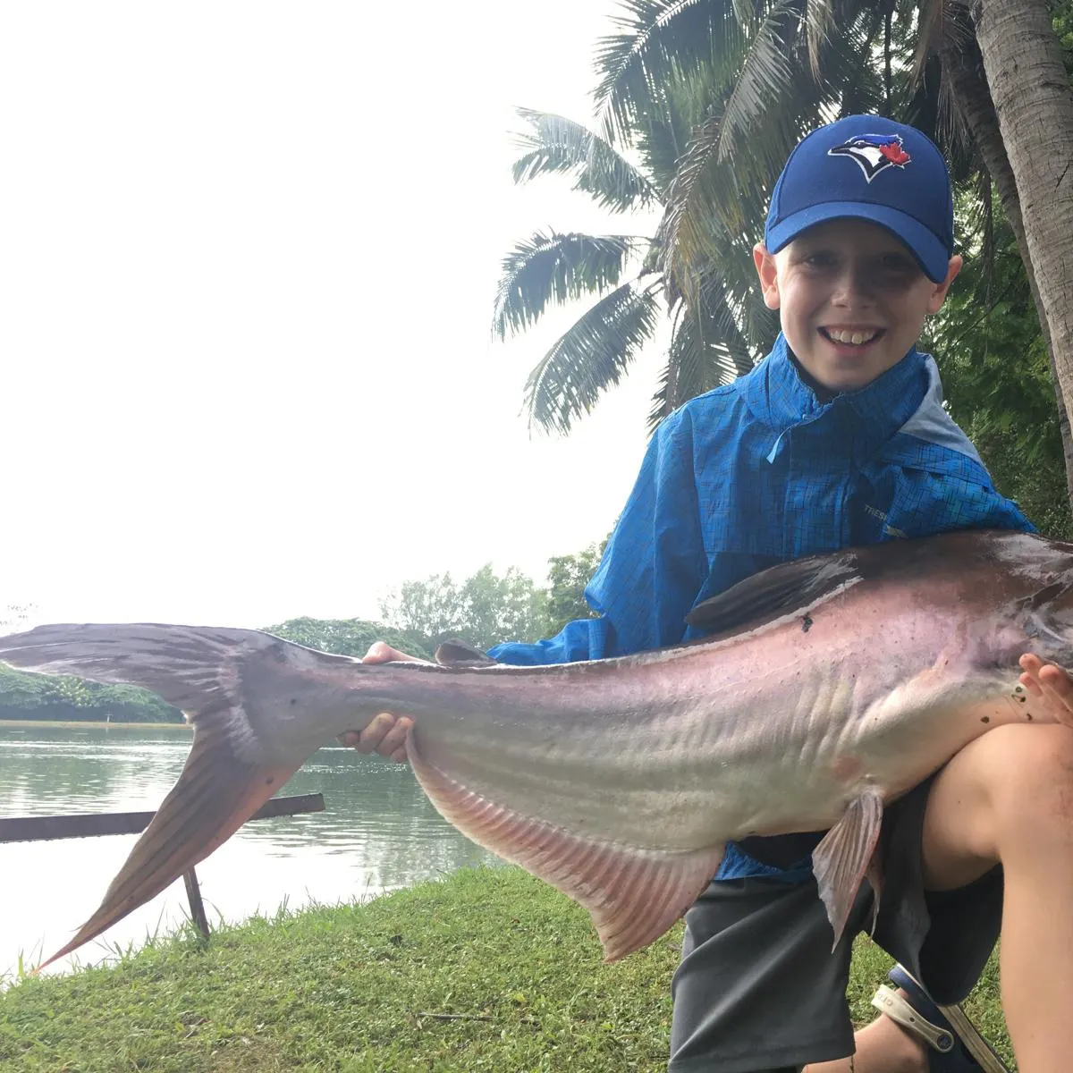The most recent Mekong giant catfish catches on Fishbrain