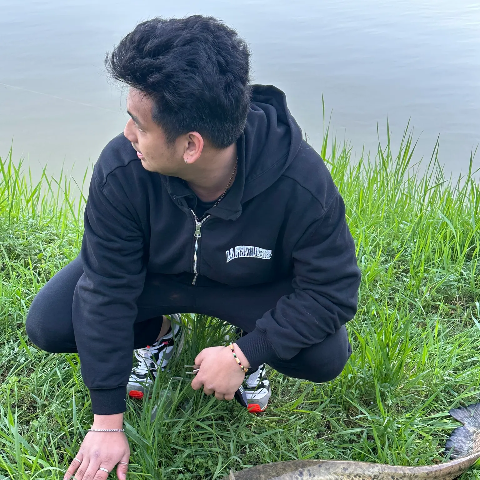 The most recent Wels catfish catches on Fishbrain