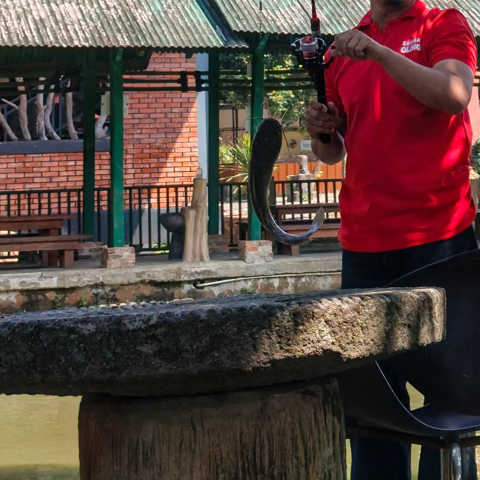 Channel catfish caught on Fishbrain