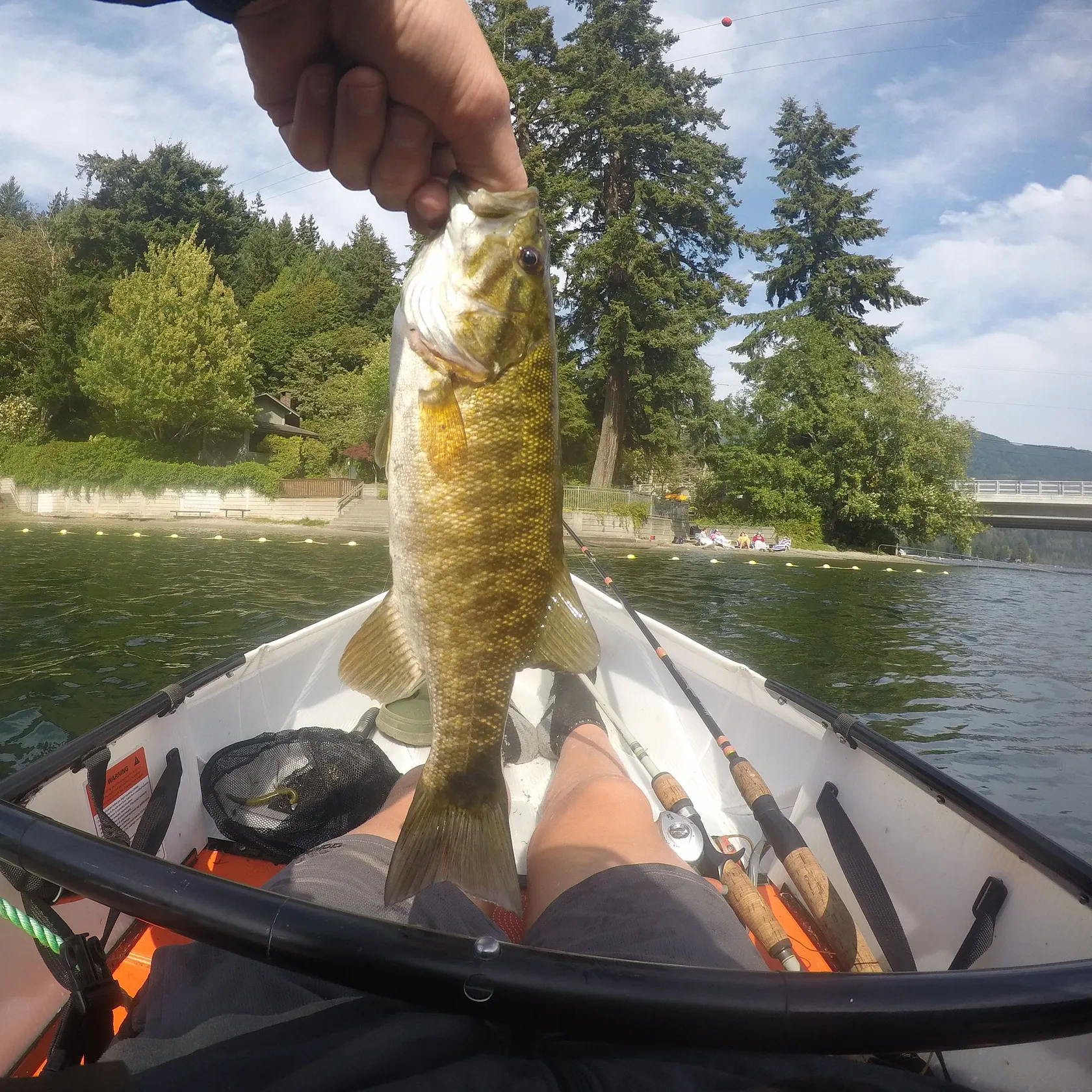 Smallmouth bass caught on Fishbrain