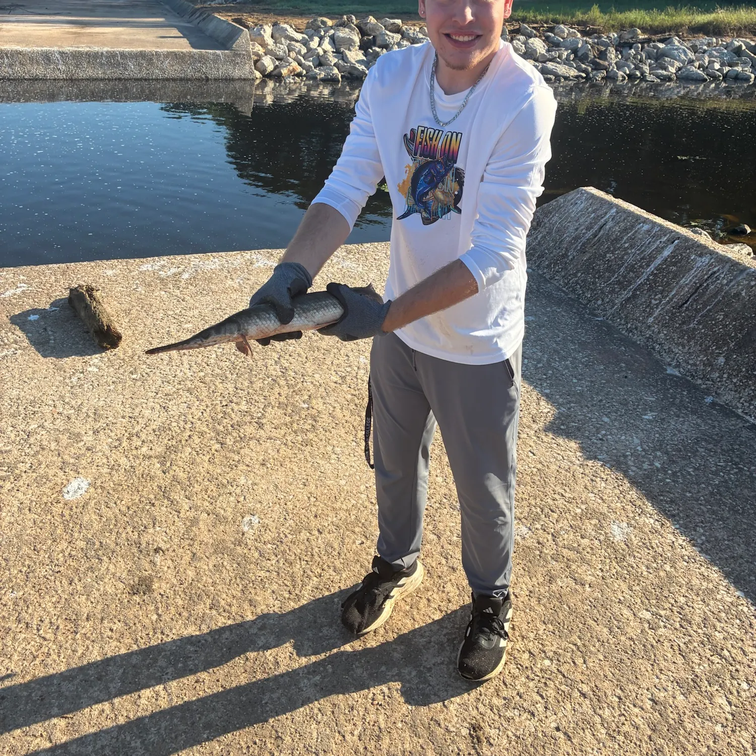 Alligator gar caught on Fishbrain
