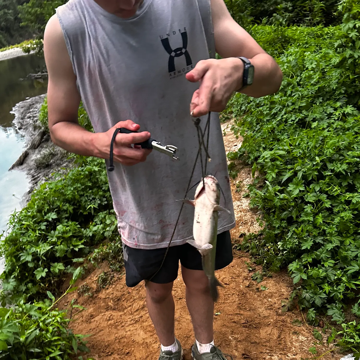 catch