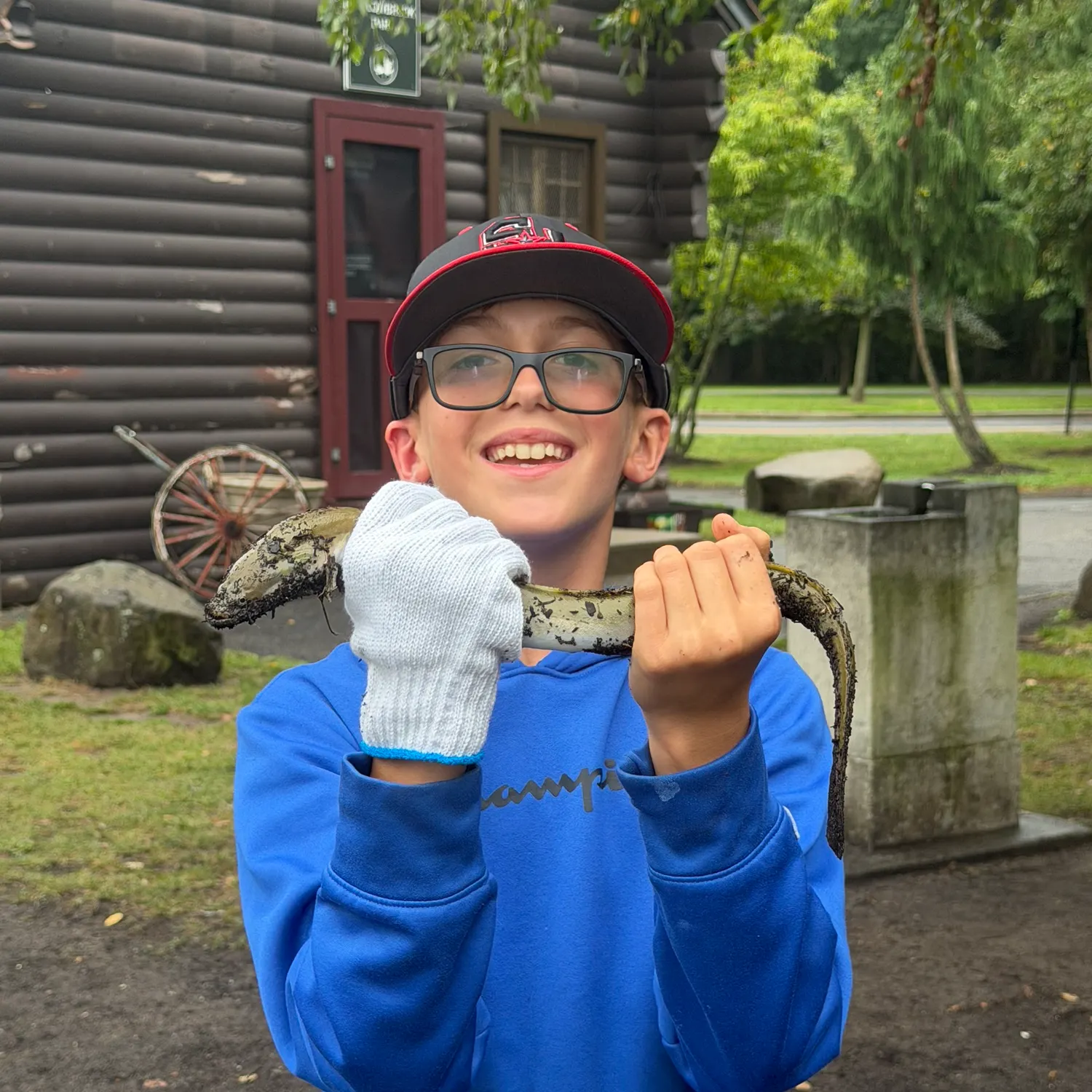 American eel caught on Fishbrain