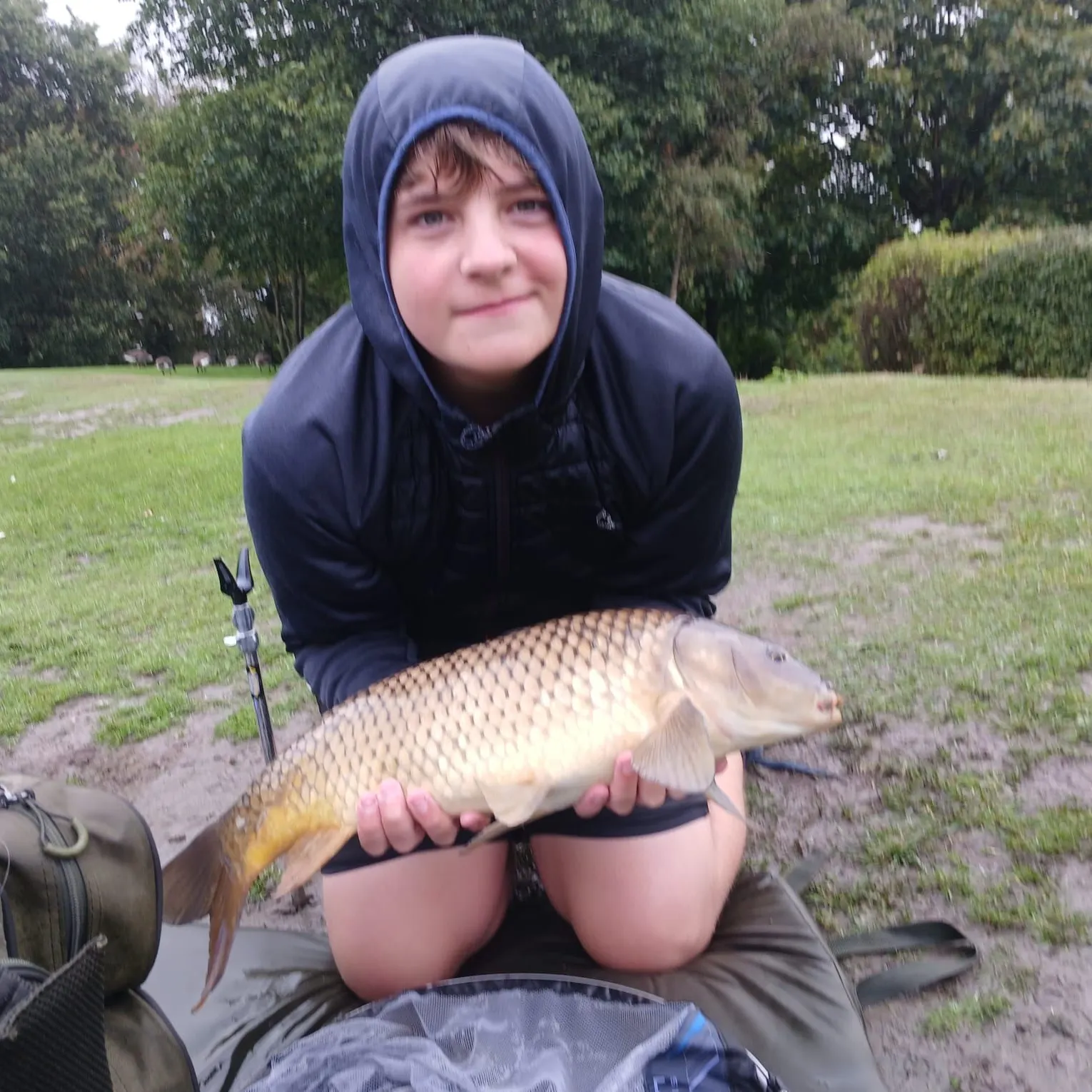 Common carp caught on Fishbrain