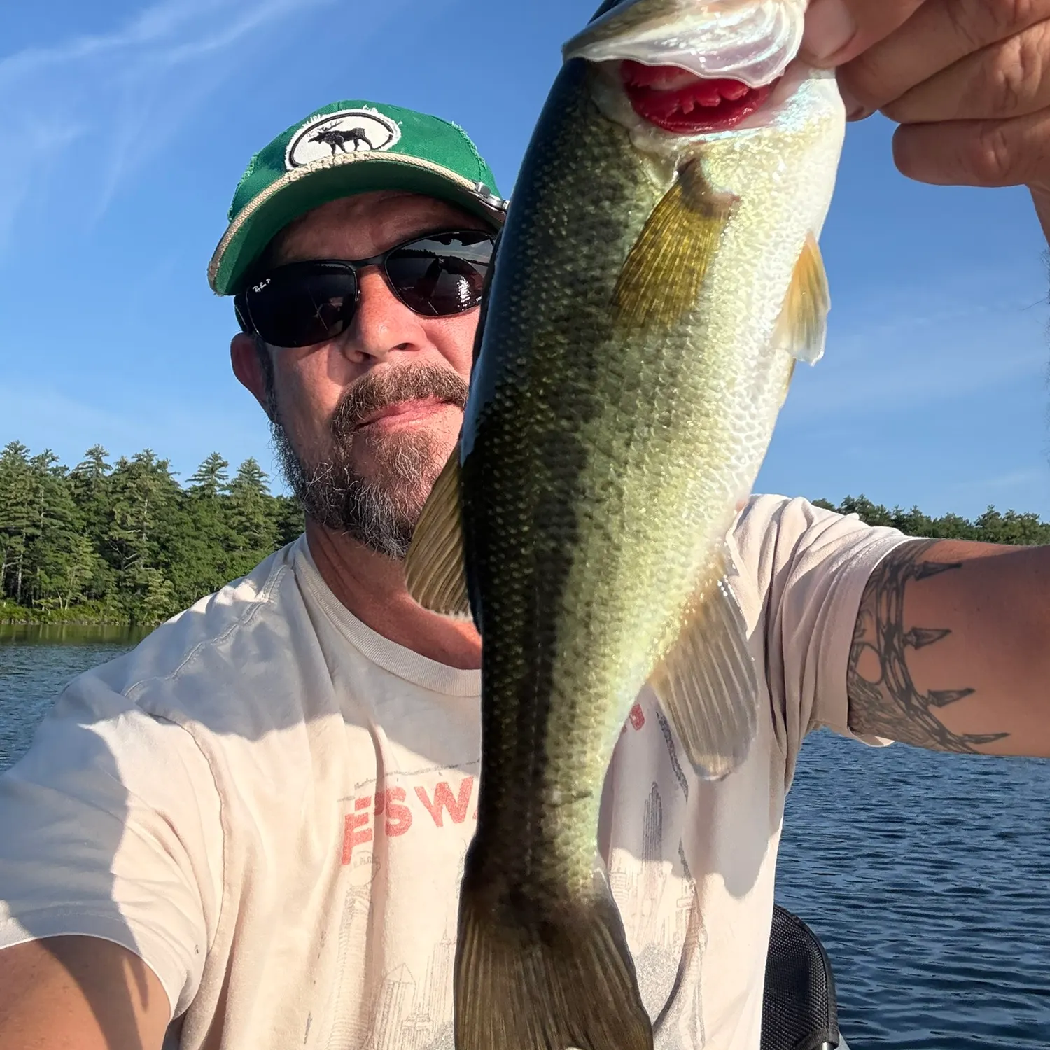 Largemouth bass caught on Fishbrain
