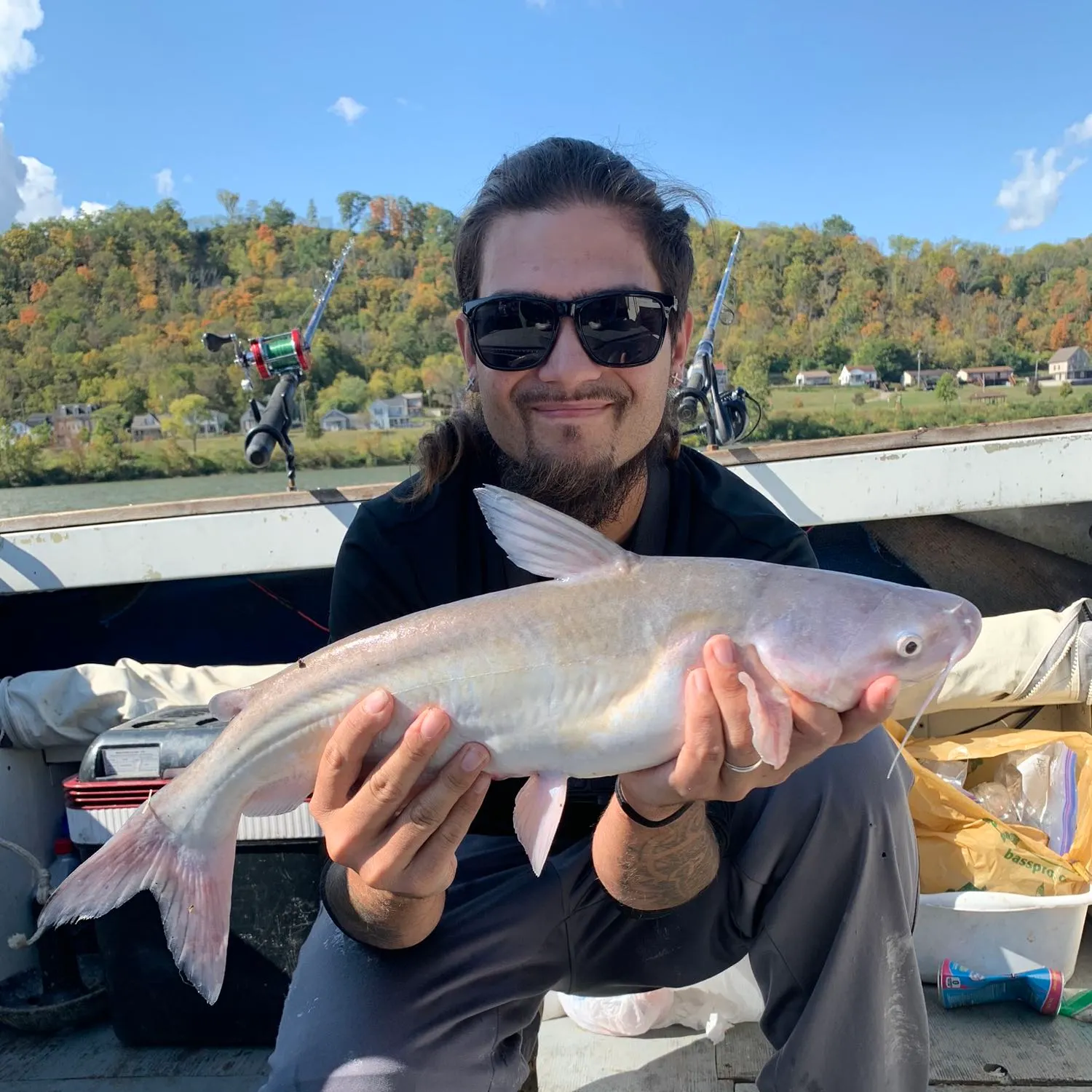 The most popular recent Blue catfish catch on Fishbrain