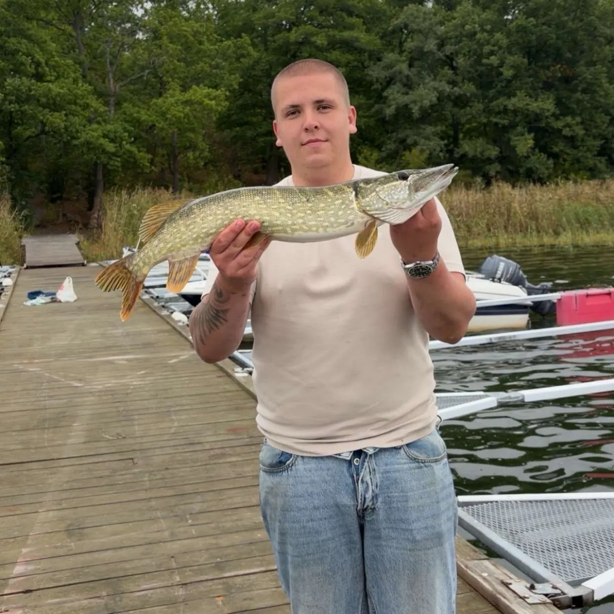 Northern pike caught on Fishbrain