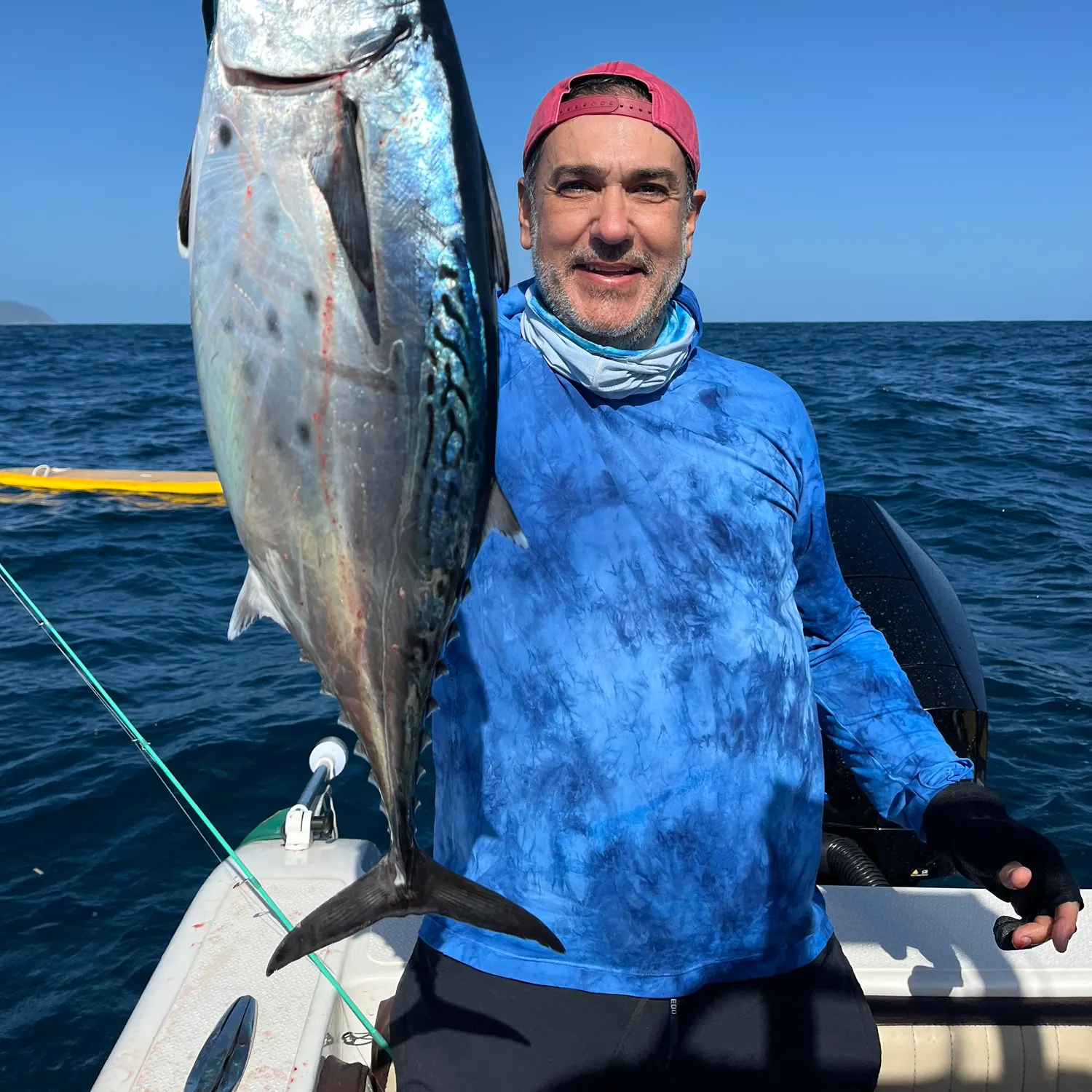 The most recent Little tunny catches on Fishbrain