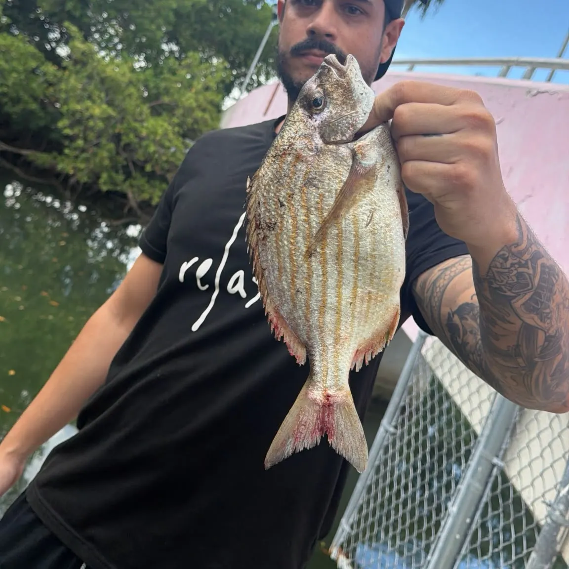 recently logged catches