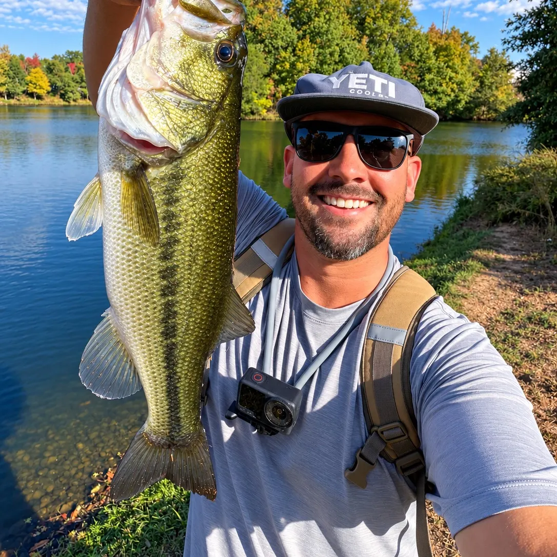 Largemouth bass caught on Fishbrain