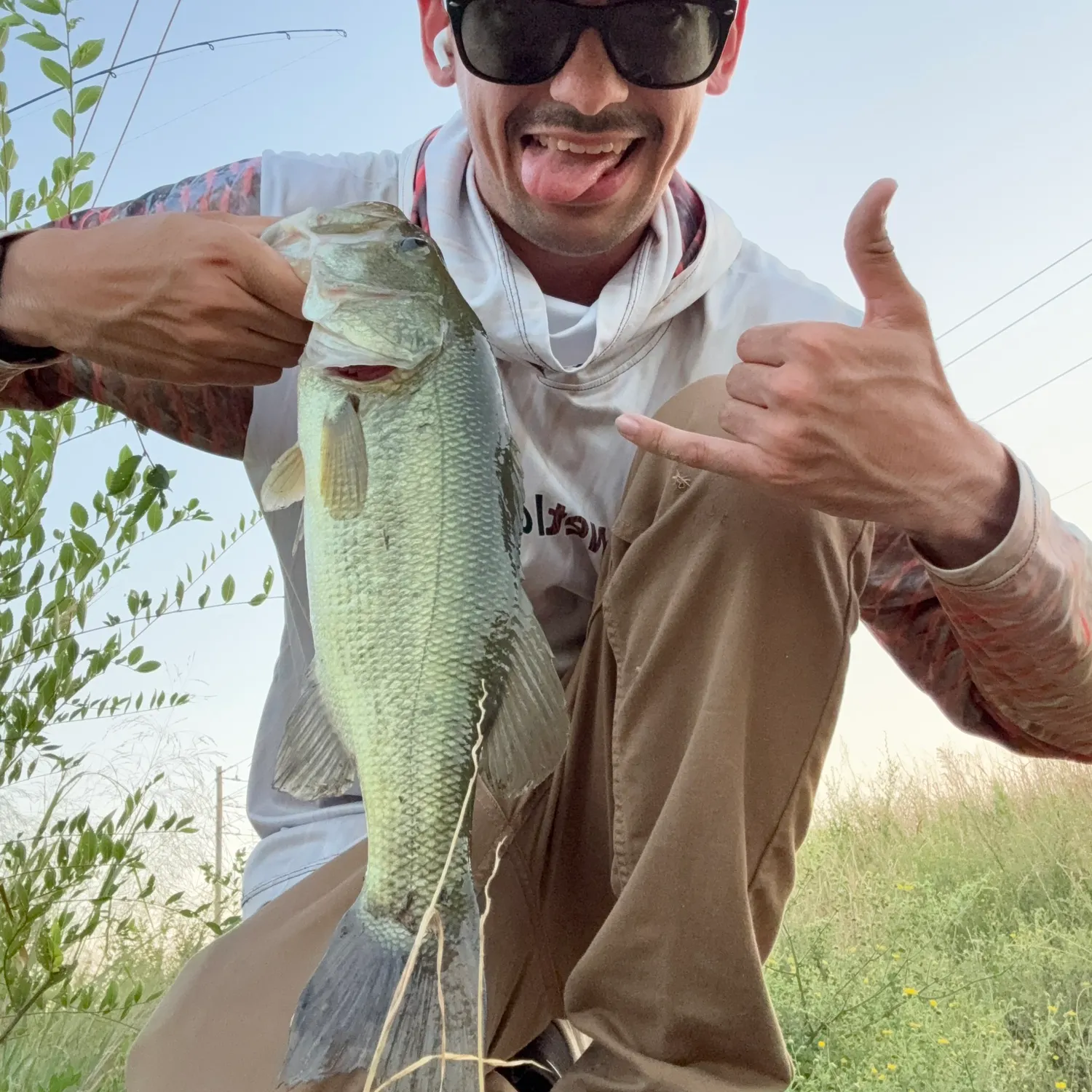 Largemouth bass caught on Fishbrain