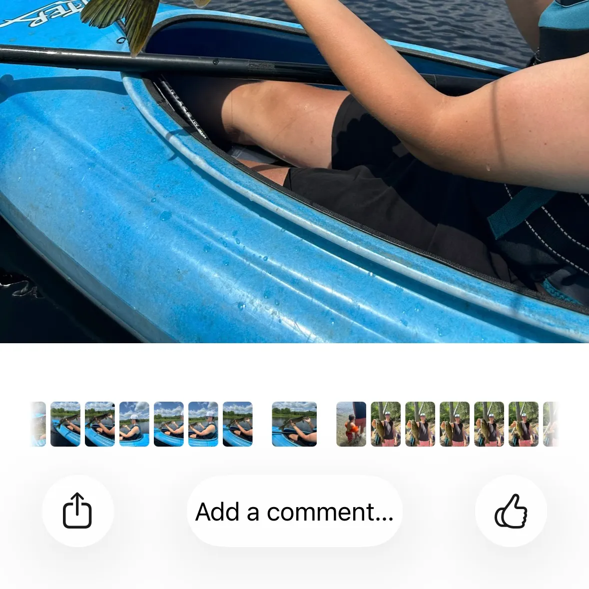 recently logged catches
