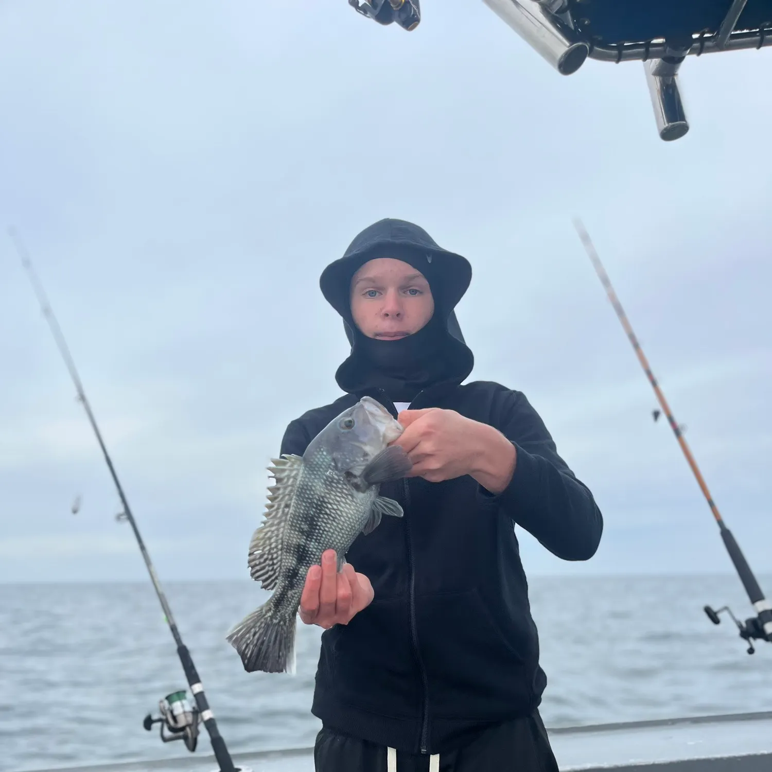 The most recent Black sea bass catches on Fishbrain