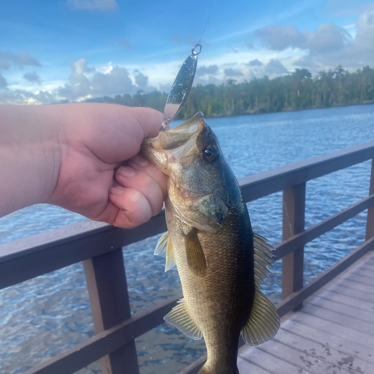 Florida bass caught on Fishbrain