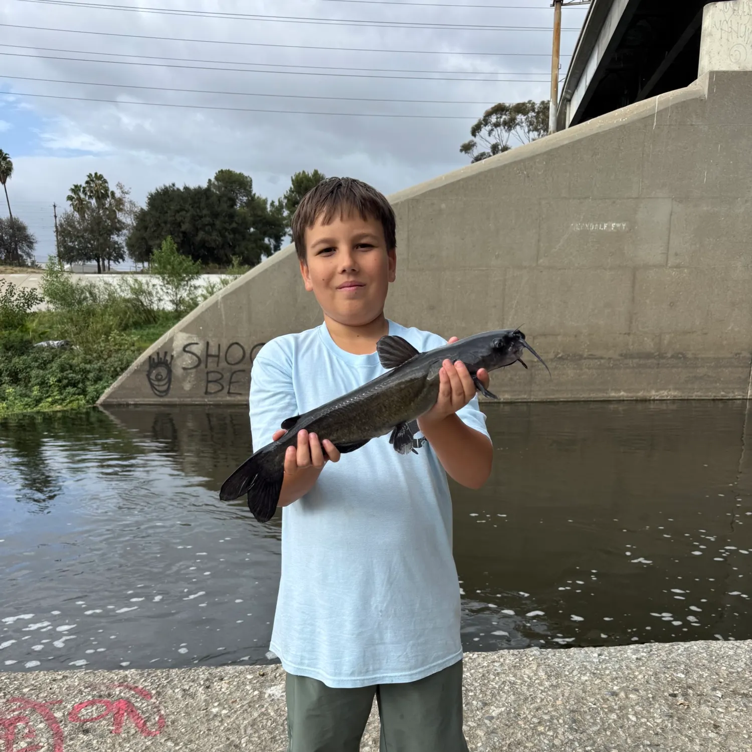 Blue catfish caught on Fishbrain