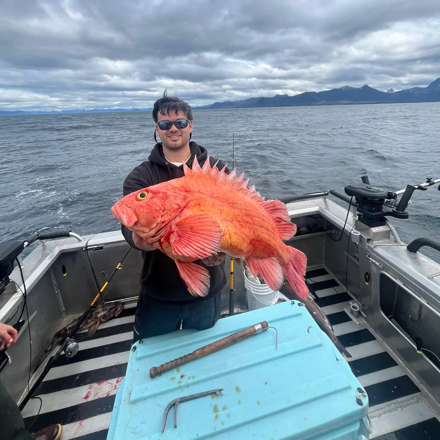 The most recent Yelloweye rockfish catches on Fishbrain