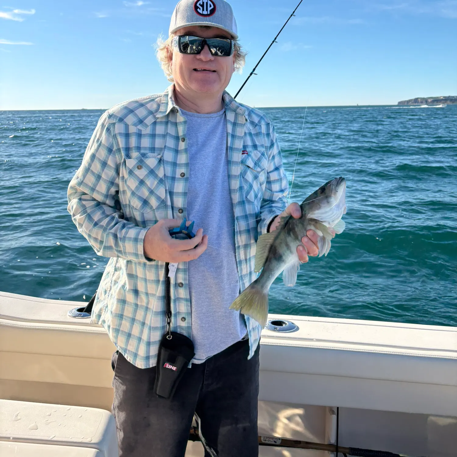 The most recent Barred sand bass catches on Fishbrain