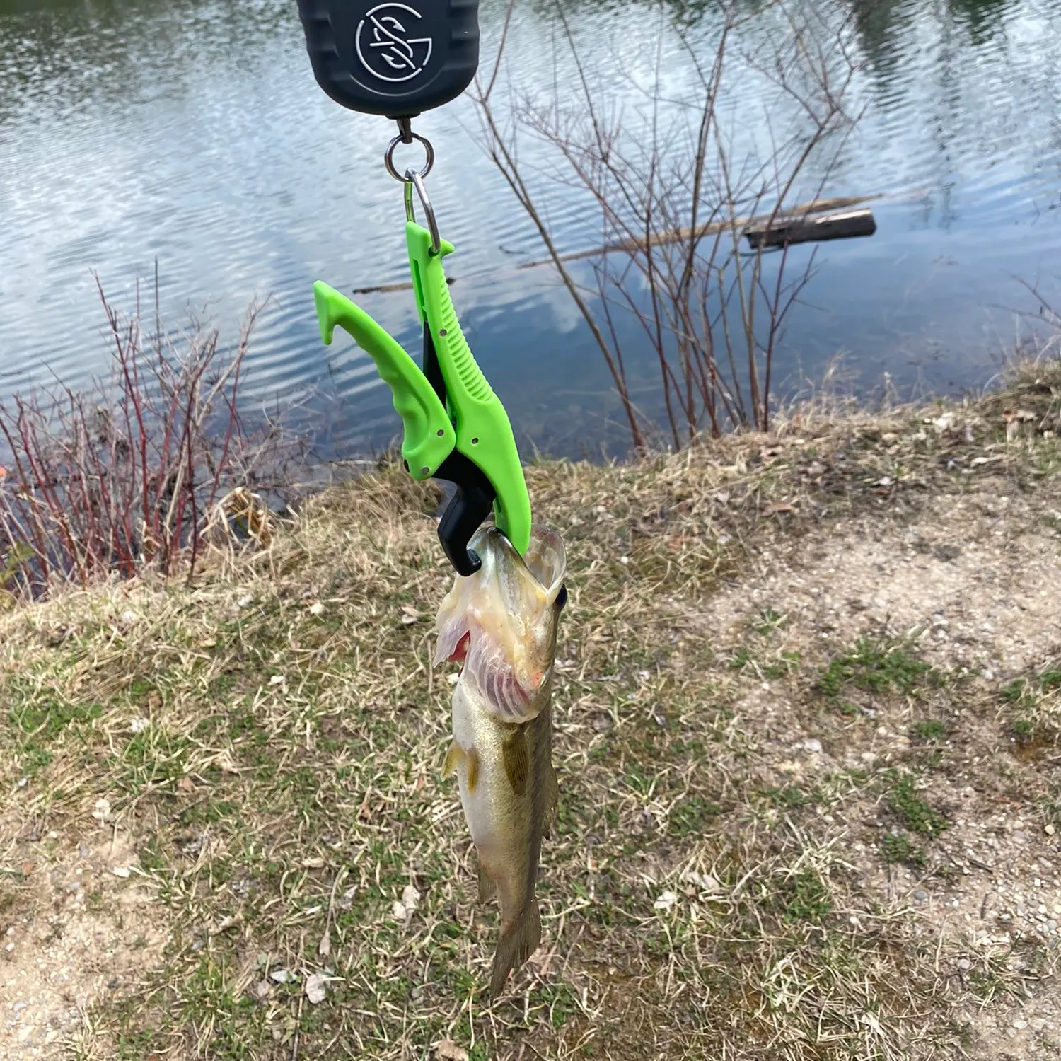 Fish caught on Fishbrain