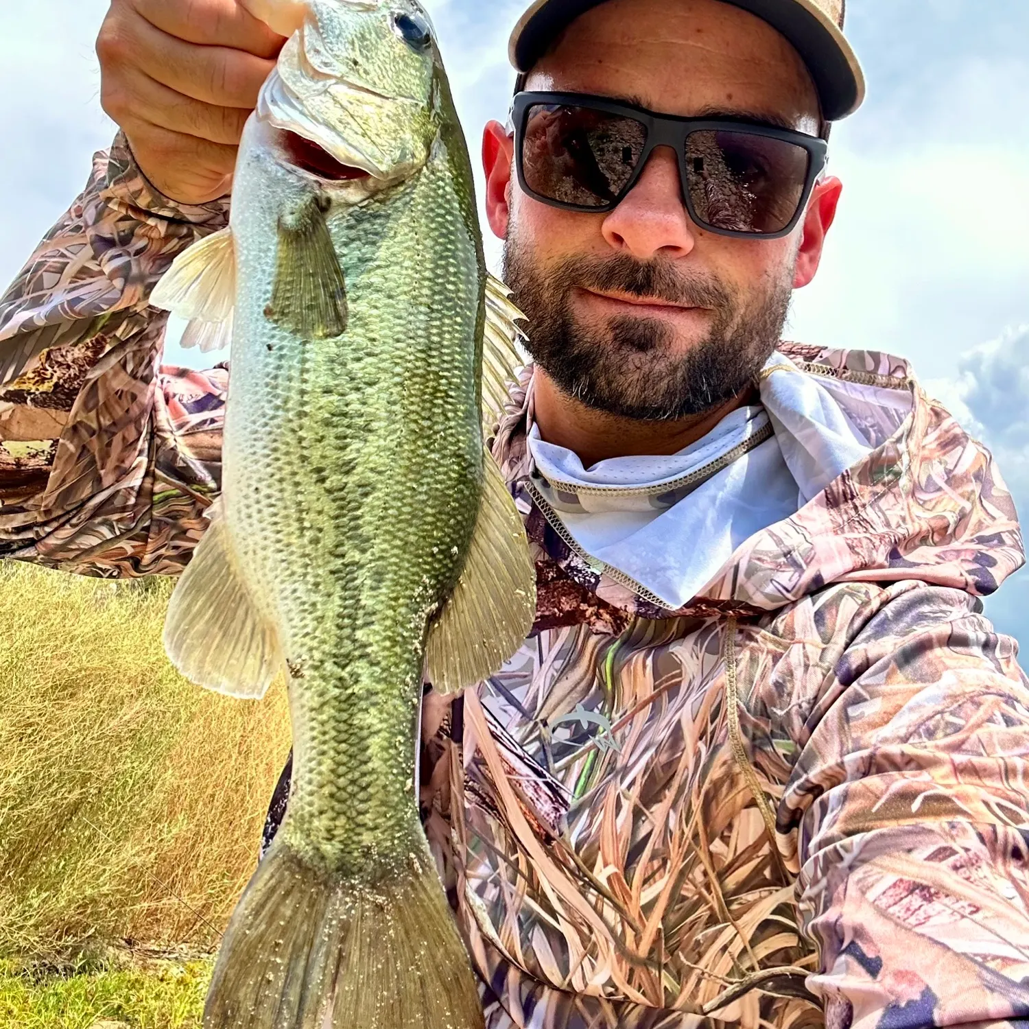 Largemouth bass caught on Fishbrain