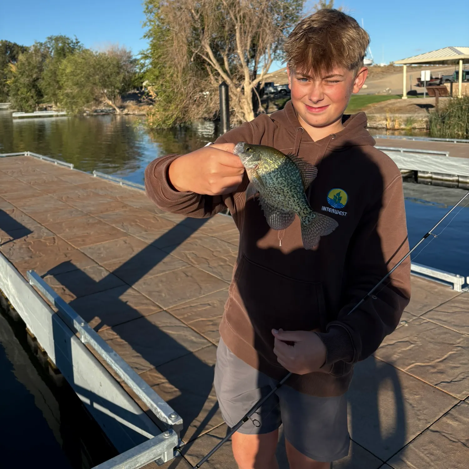 Black crappie caught on Fishbrain