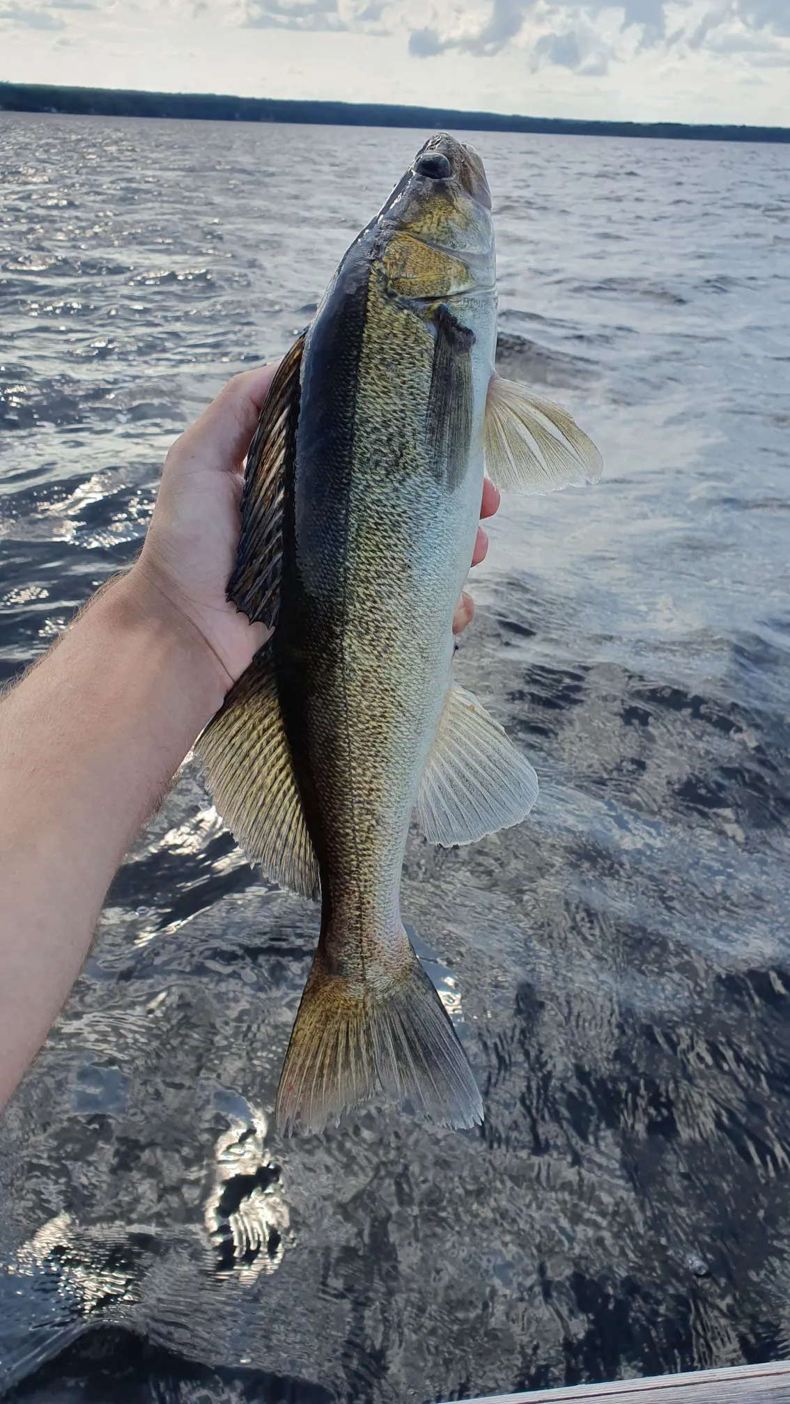 Post image from JPsson