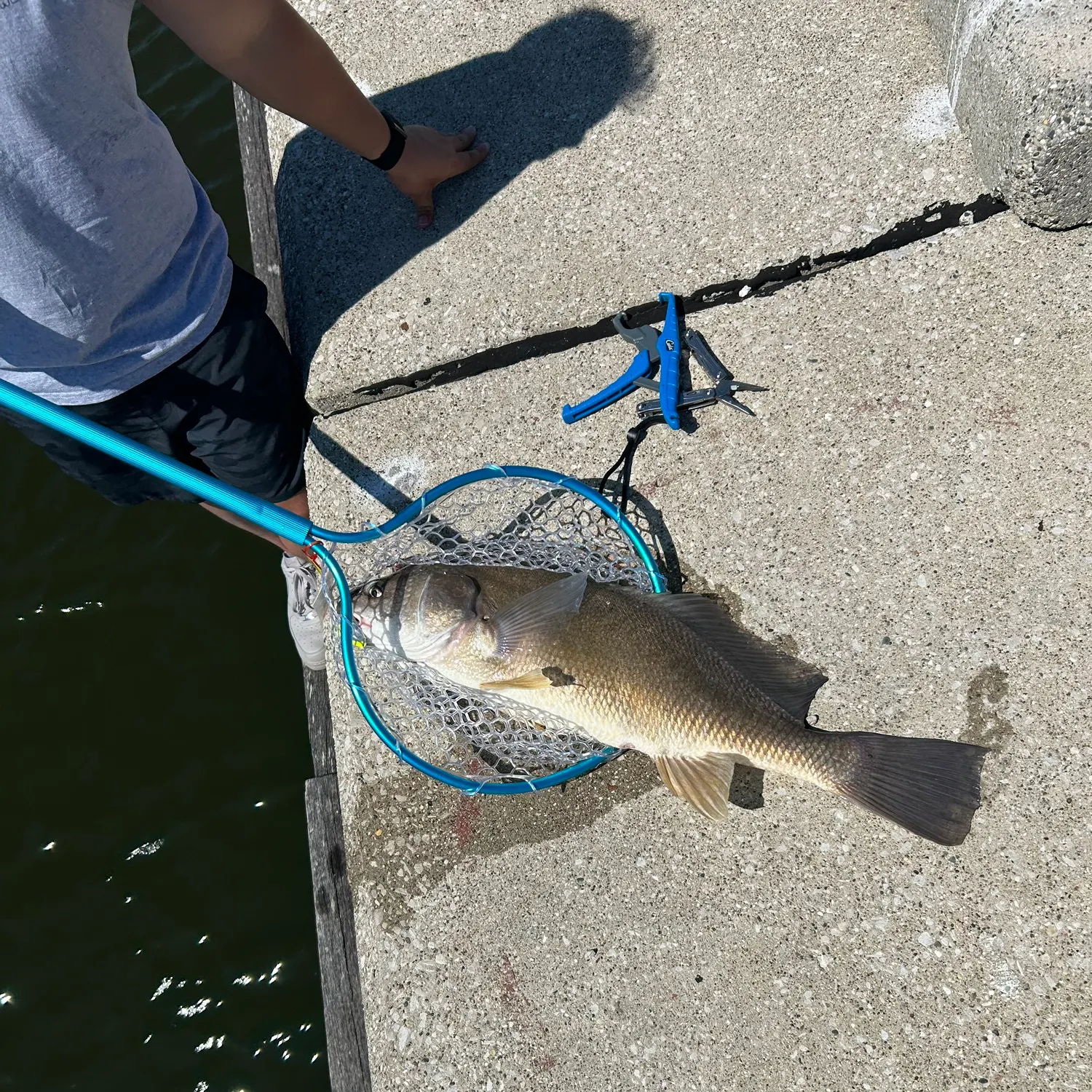 catch
