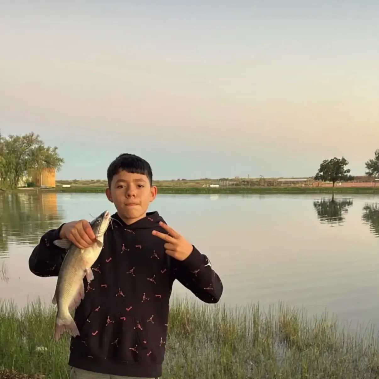Channel catfish caught on Fishbrain