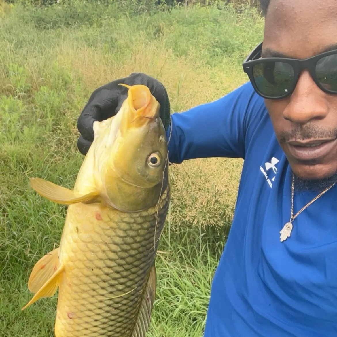 Common carp caught on Fishbrain