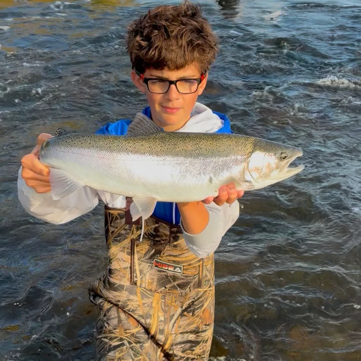 Steelhead caught on Fishbrain