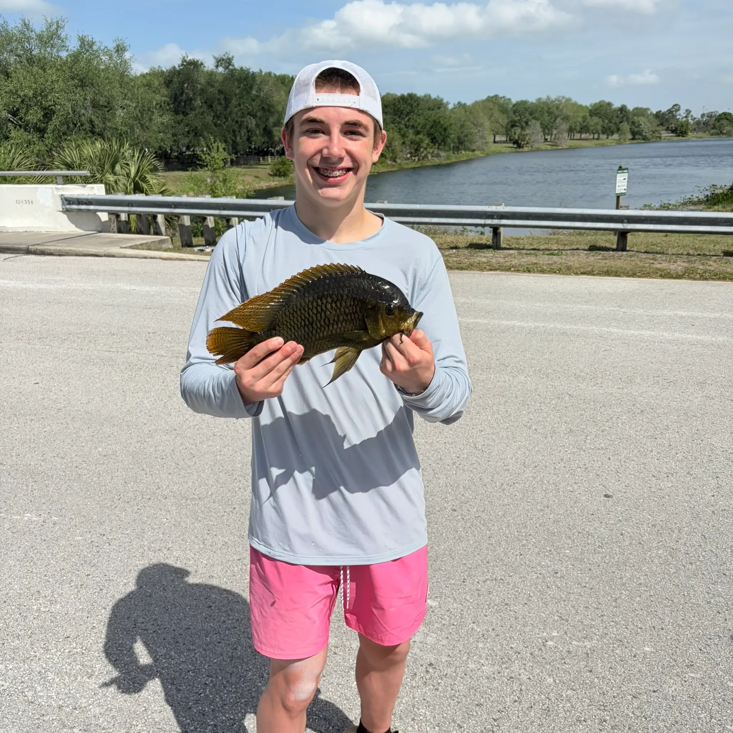 The most recent Spotted tilapia catches on Fishbrain