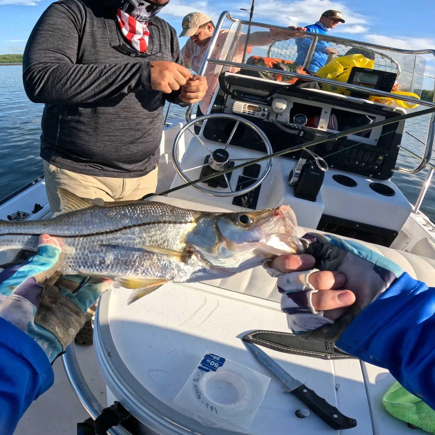Armed snook caught on Fishbrain