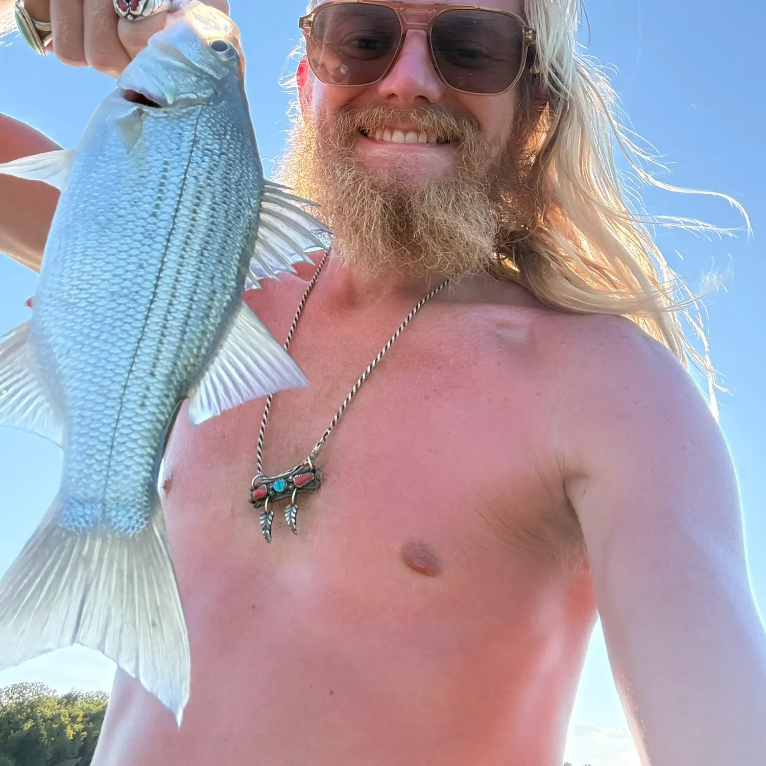 White bass caught on Fishbrain