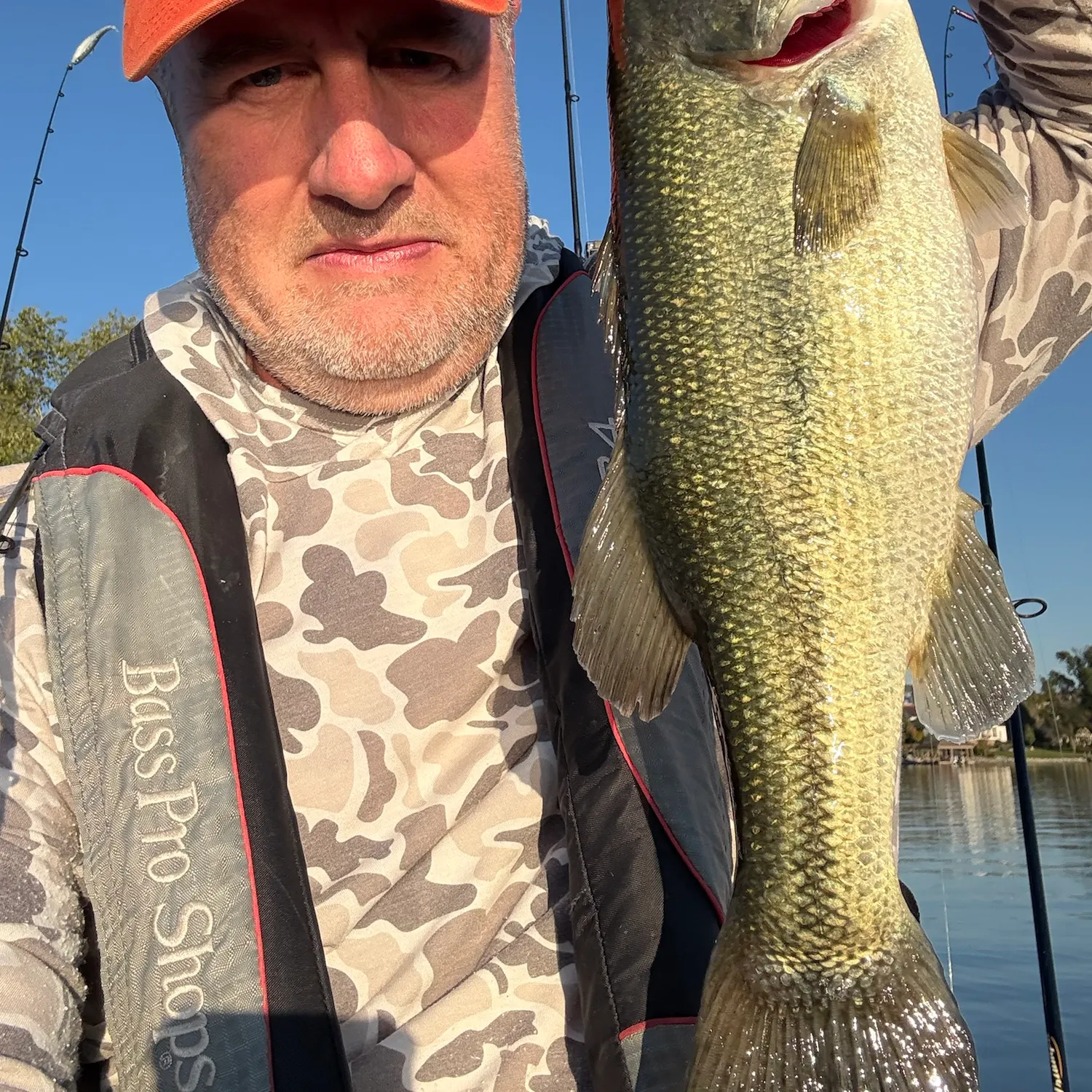 Largemouth bass caught on Fishbrain