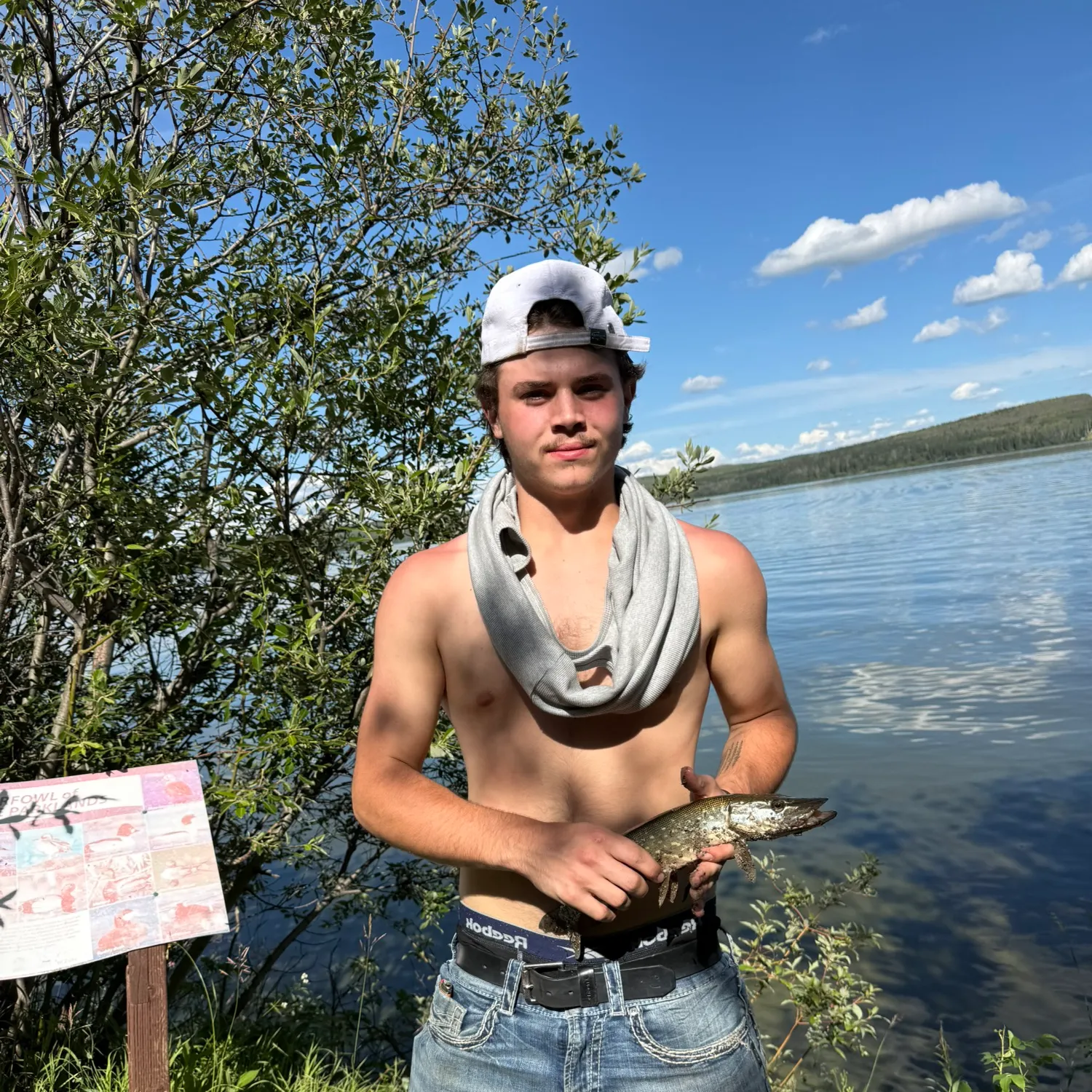 The most recent Northern pike catches on Fishbrain