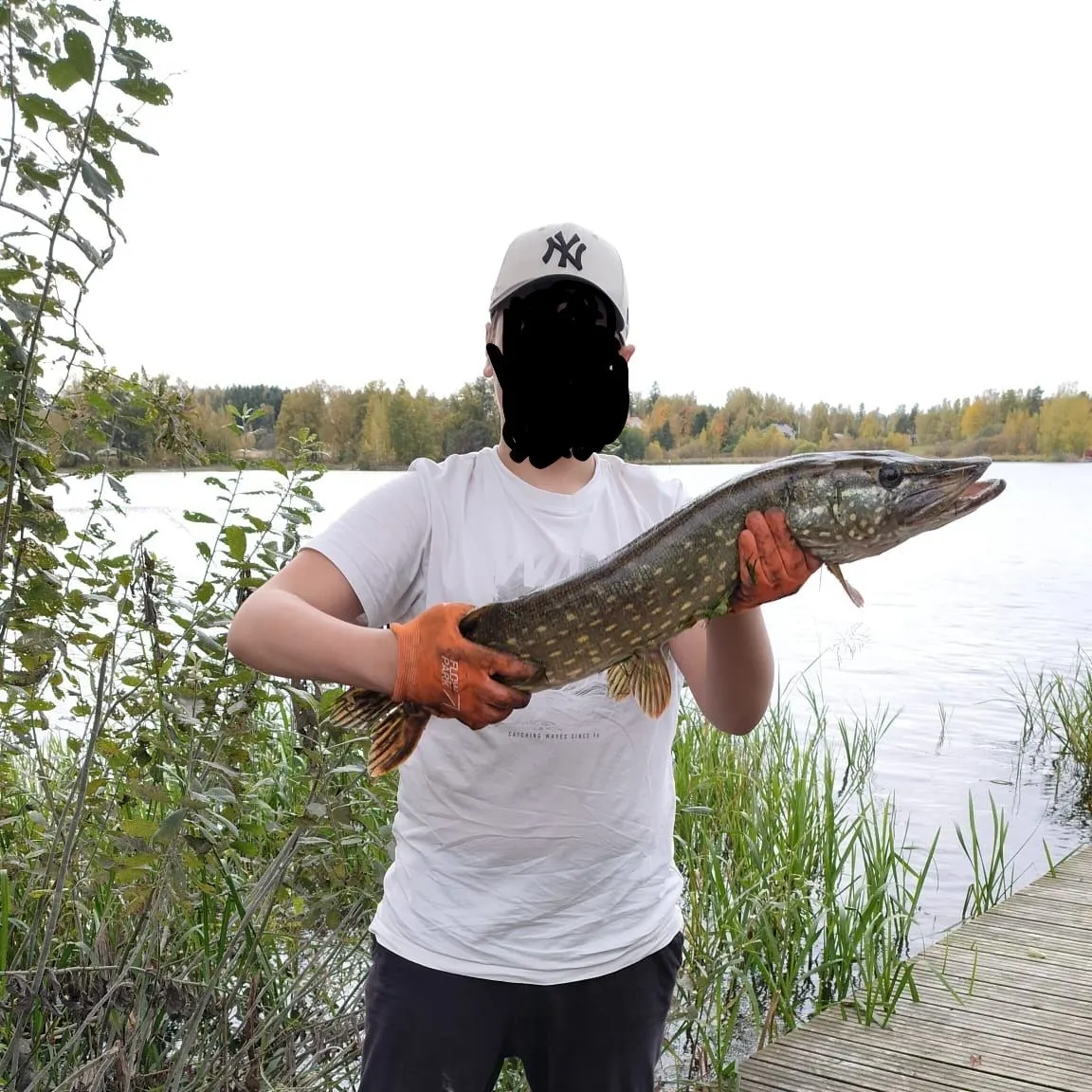 Northern pike caught on Fishbrain