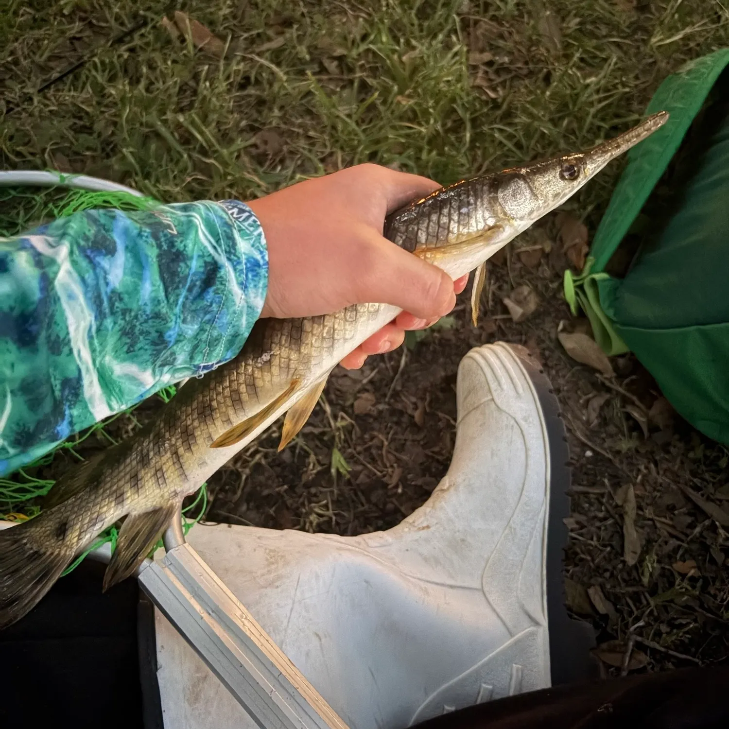 catch