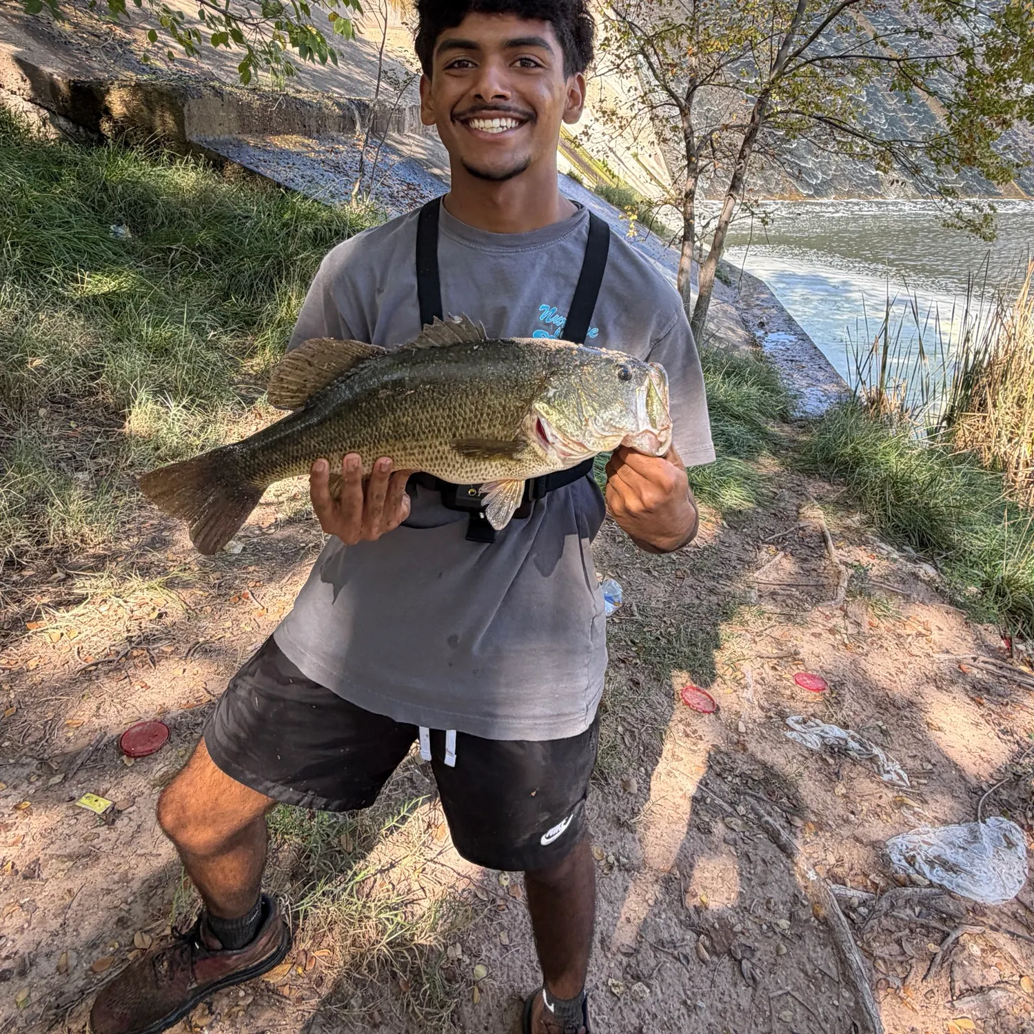Largemouth bass caught on Fishbrain