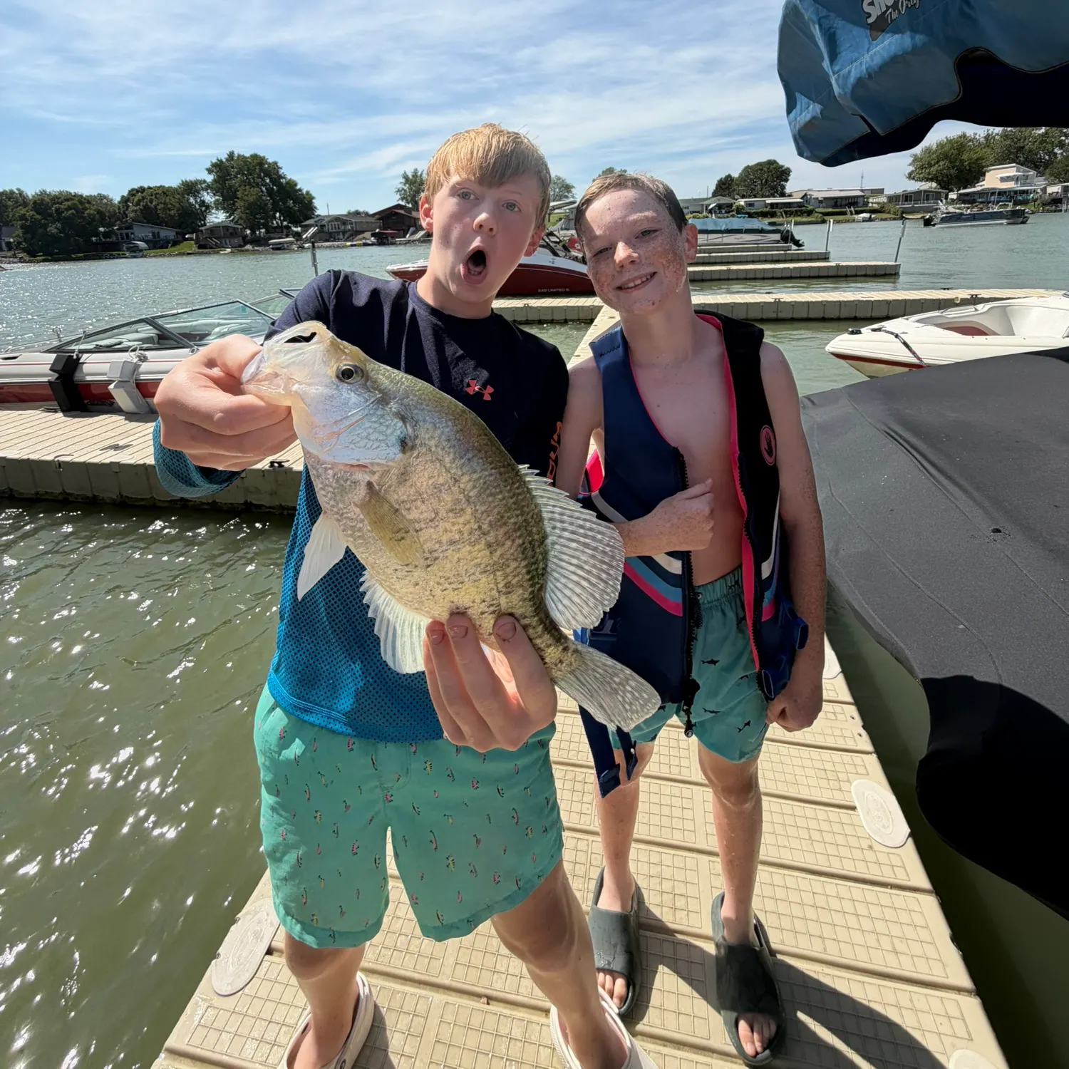 White crappie caught on Fishbrain