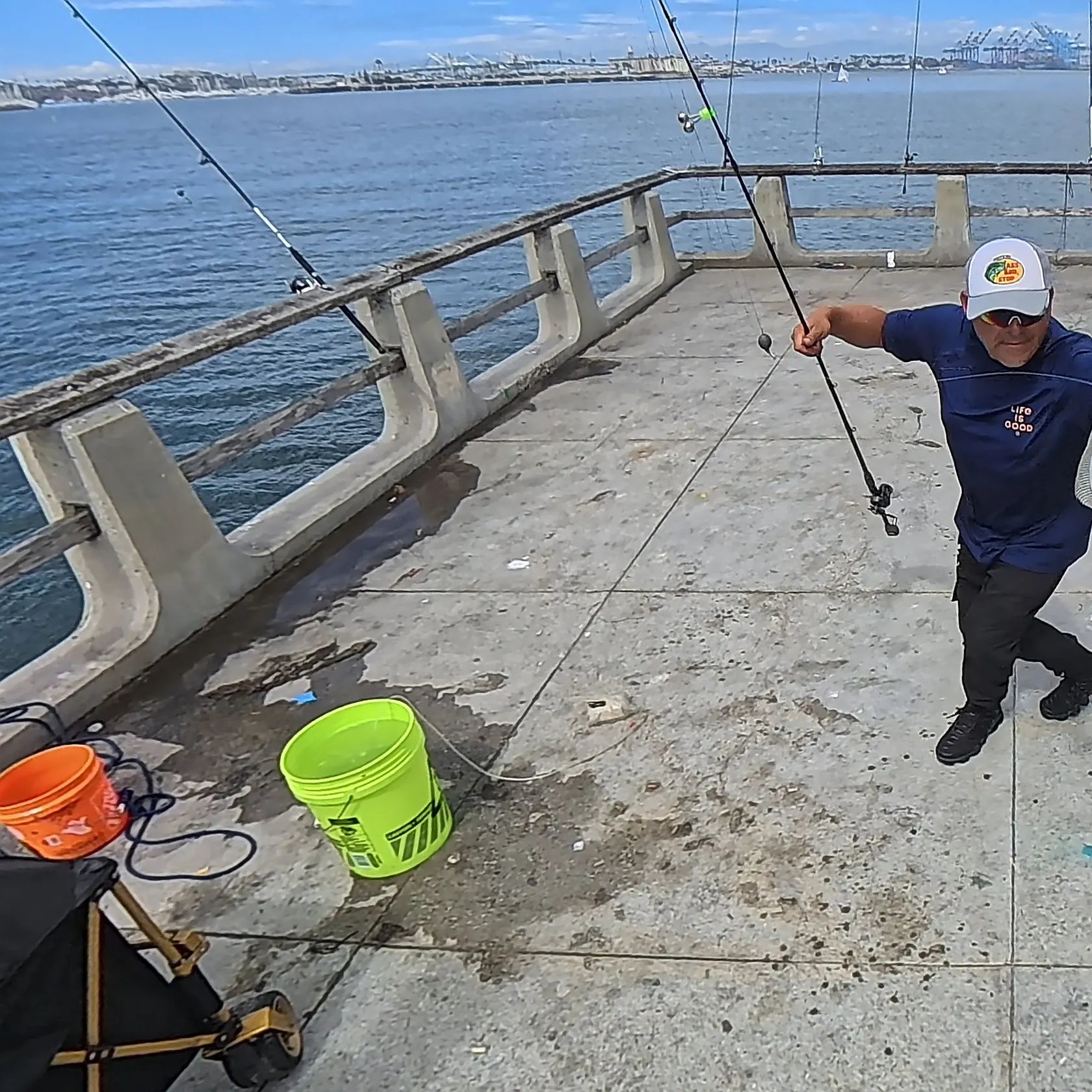 California halibut caught on Fishbrain