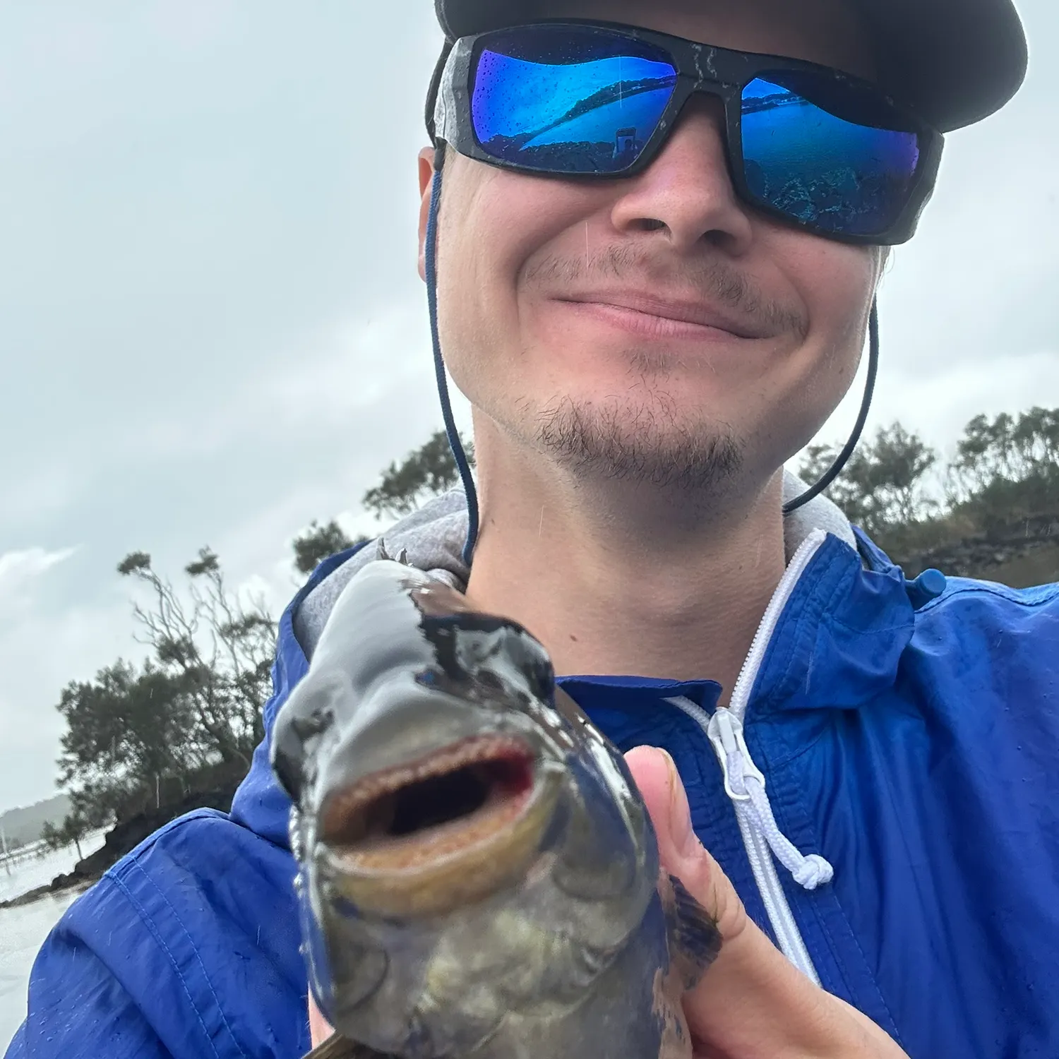 The most recent Luderick catches on Fishbrain
