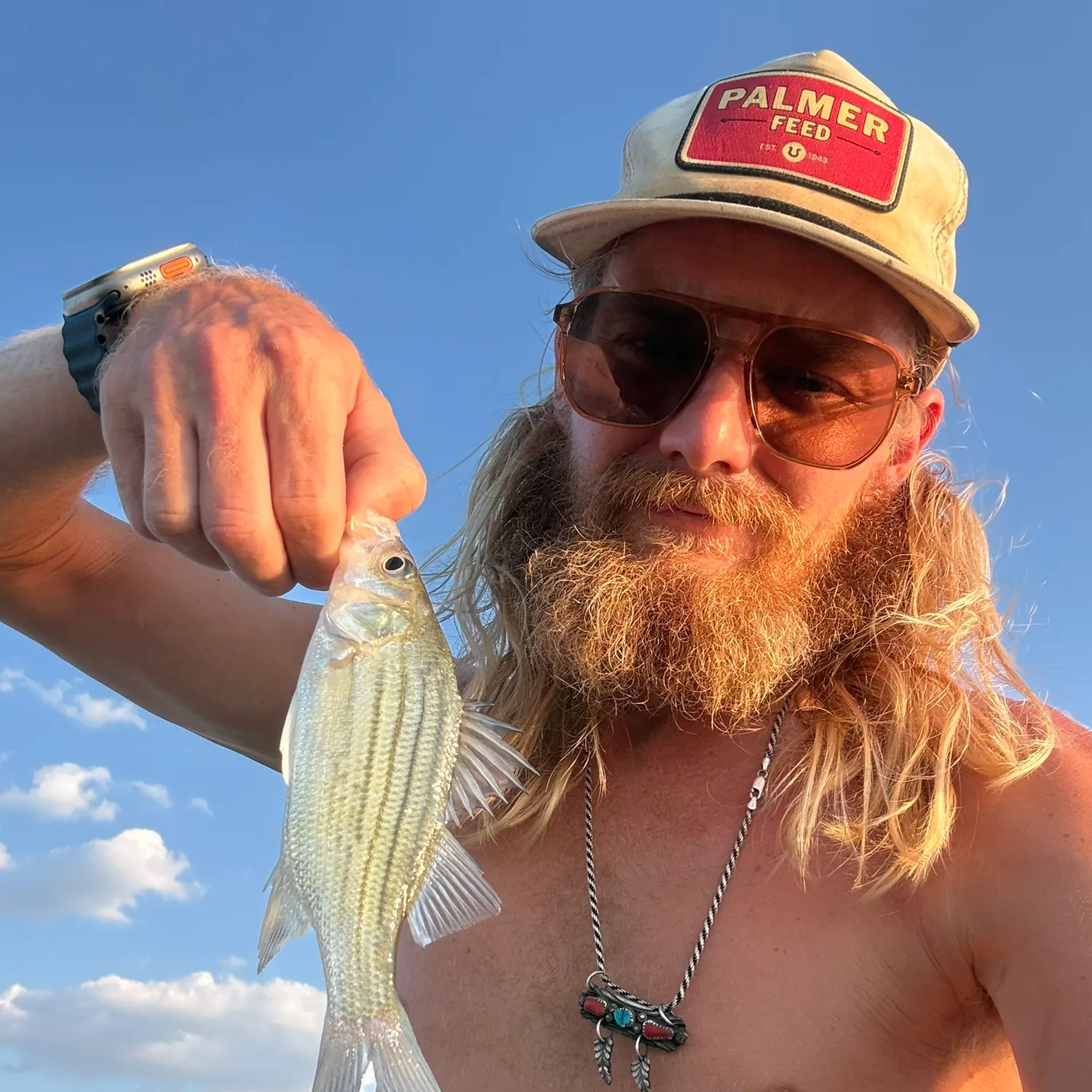White bass caught on Fishbrain